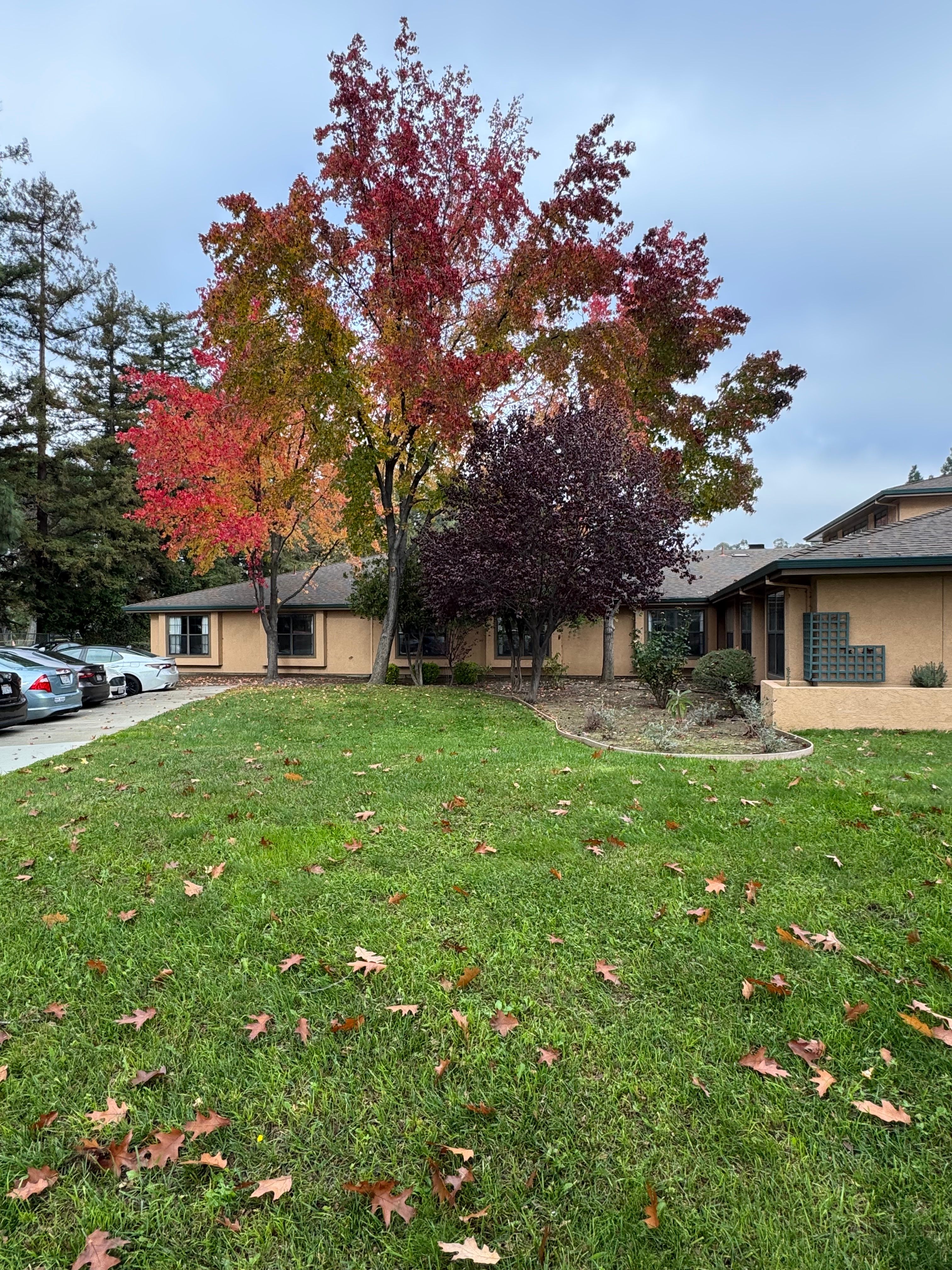 Stonebrook Healthcare Center 4