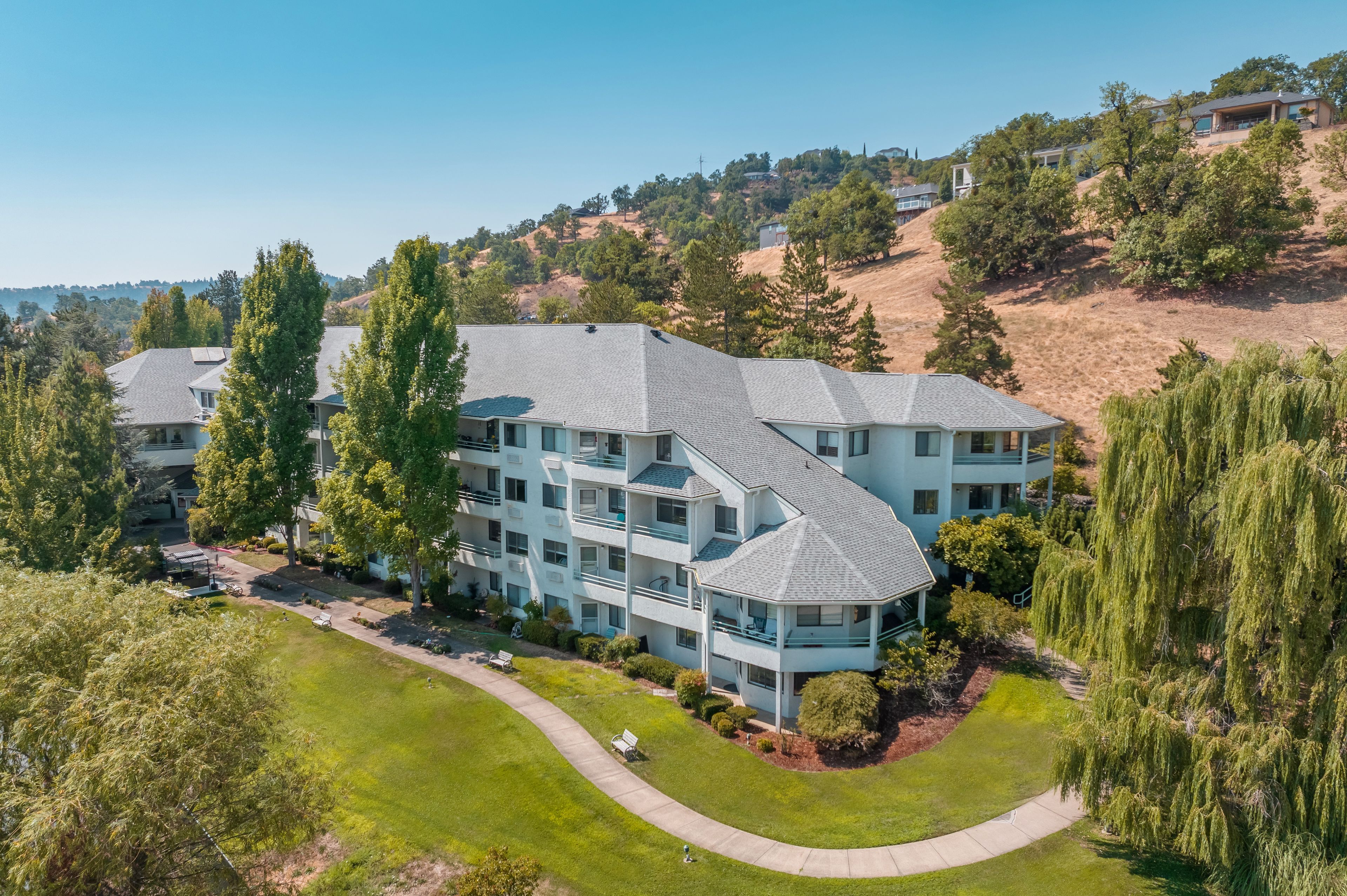 Solista Roseburg 2