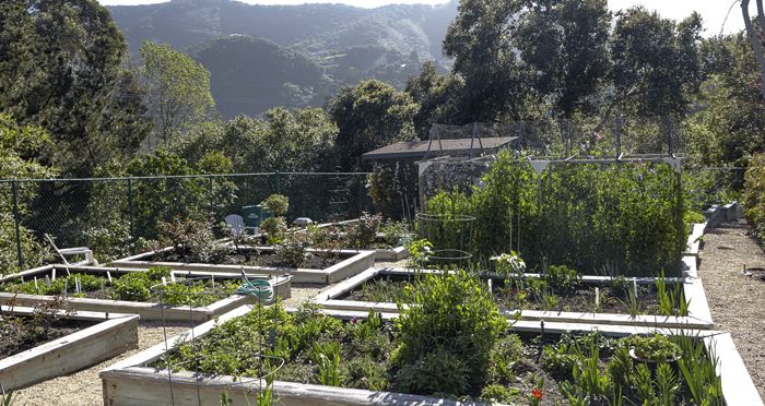 Carmel Valley Manor 3