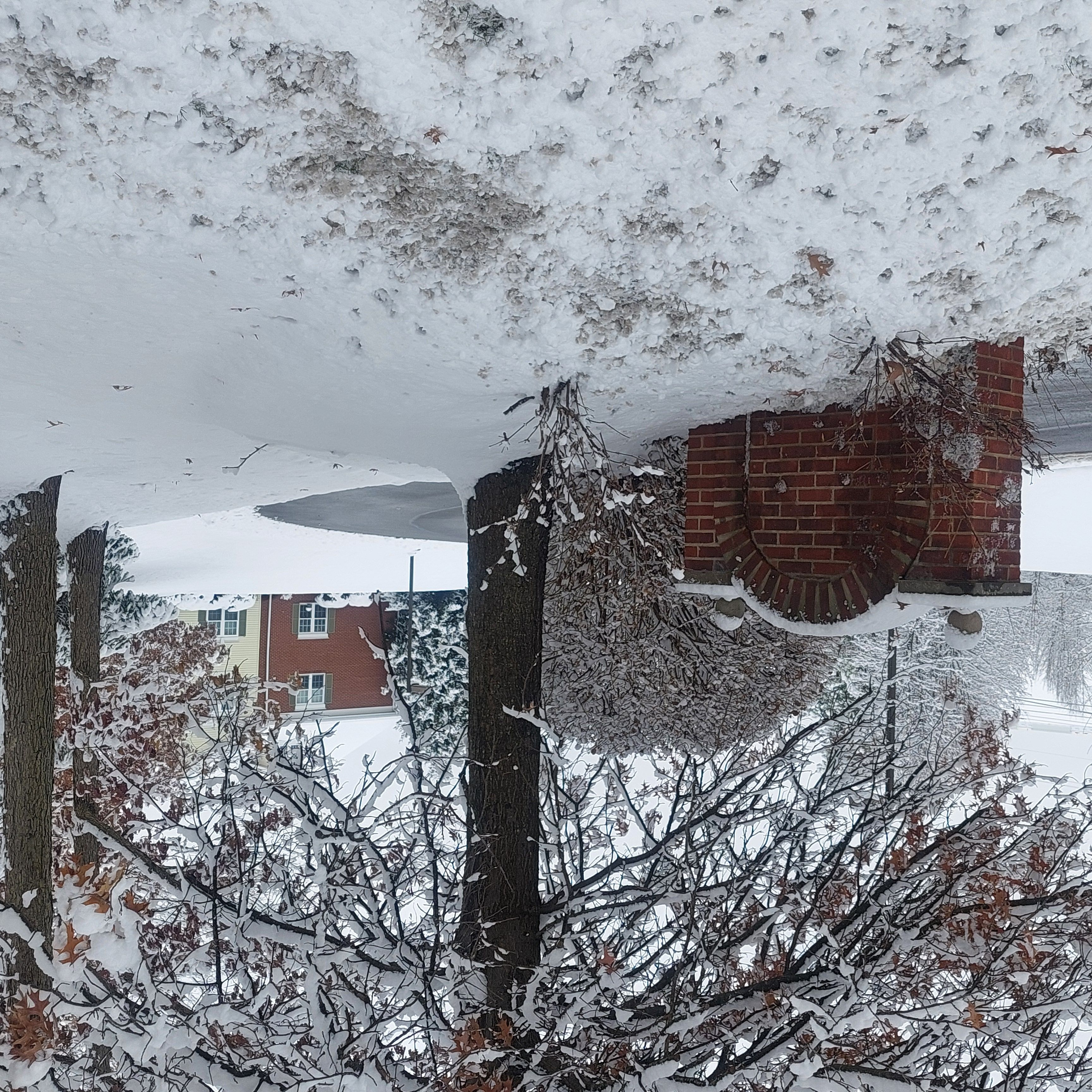 Concordia of Cranberry 3