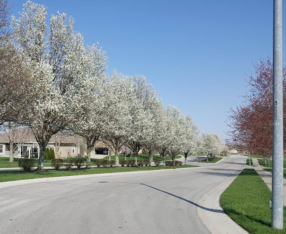 Maintenance provided community at Raintree Lake, Lees Summit, MO.