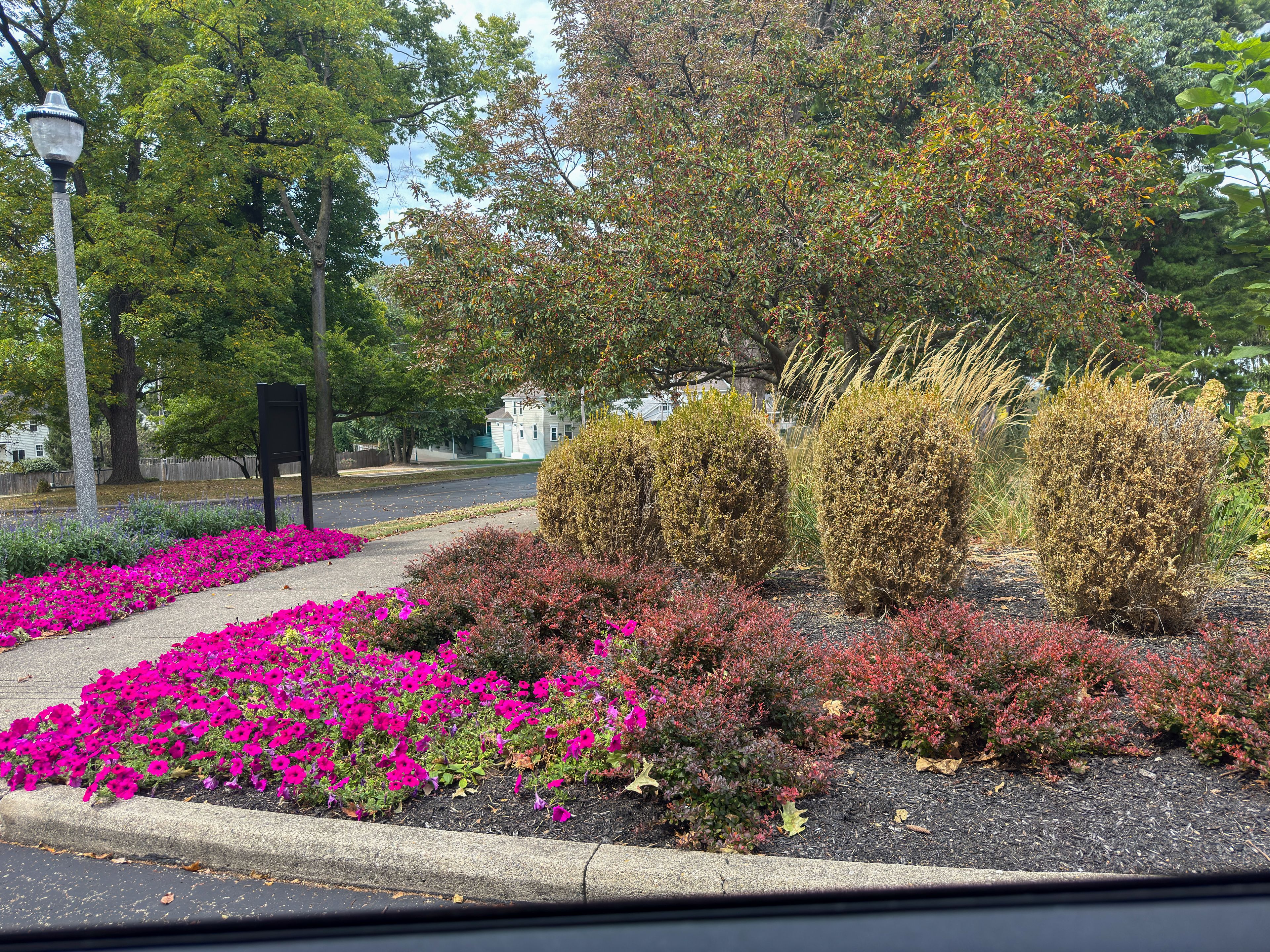 10 Wilmington Place 1