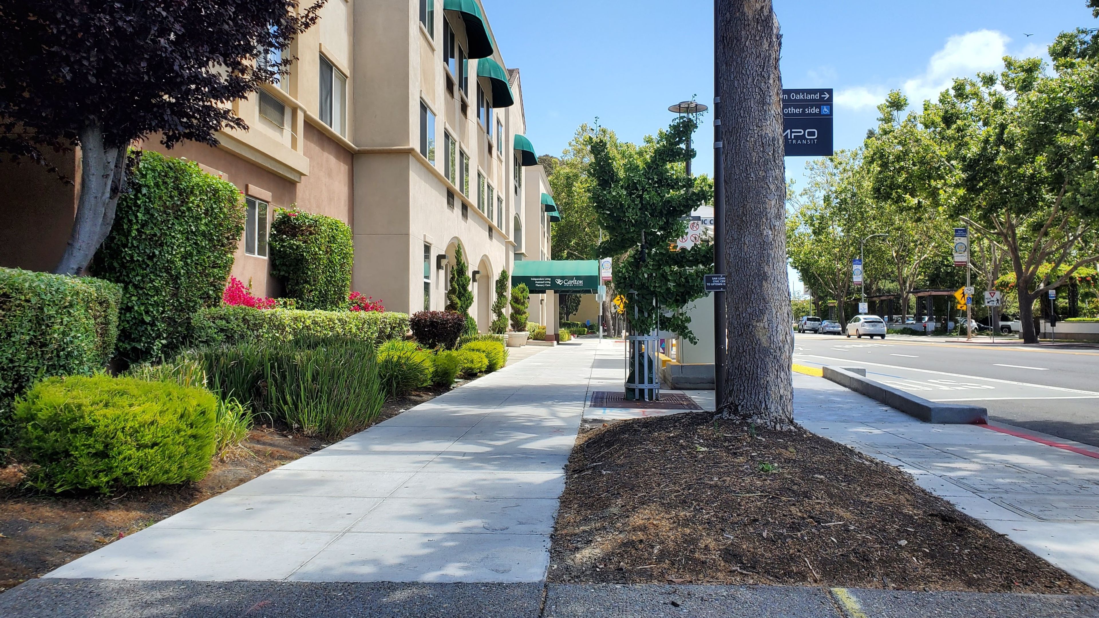 Carlton Senior Living San Leandro 1