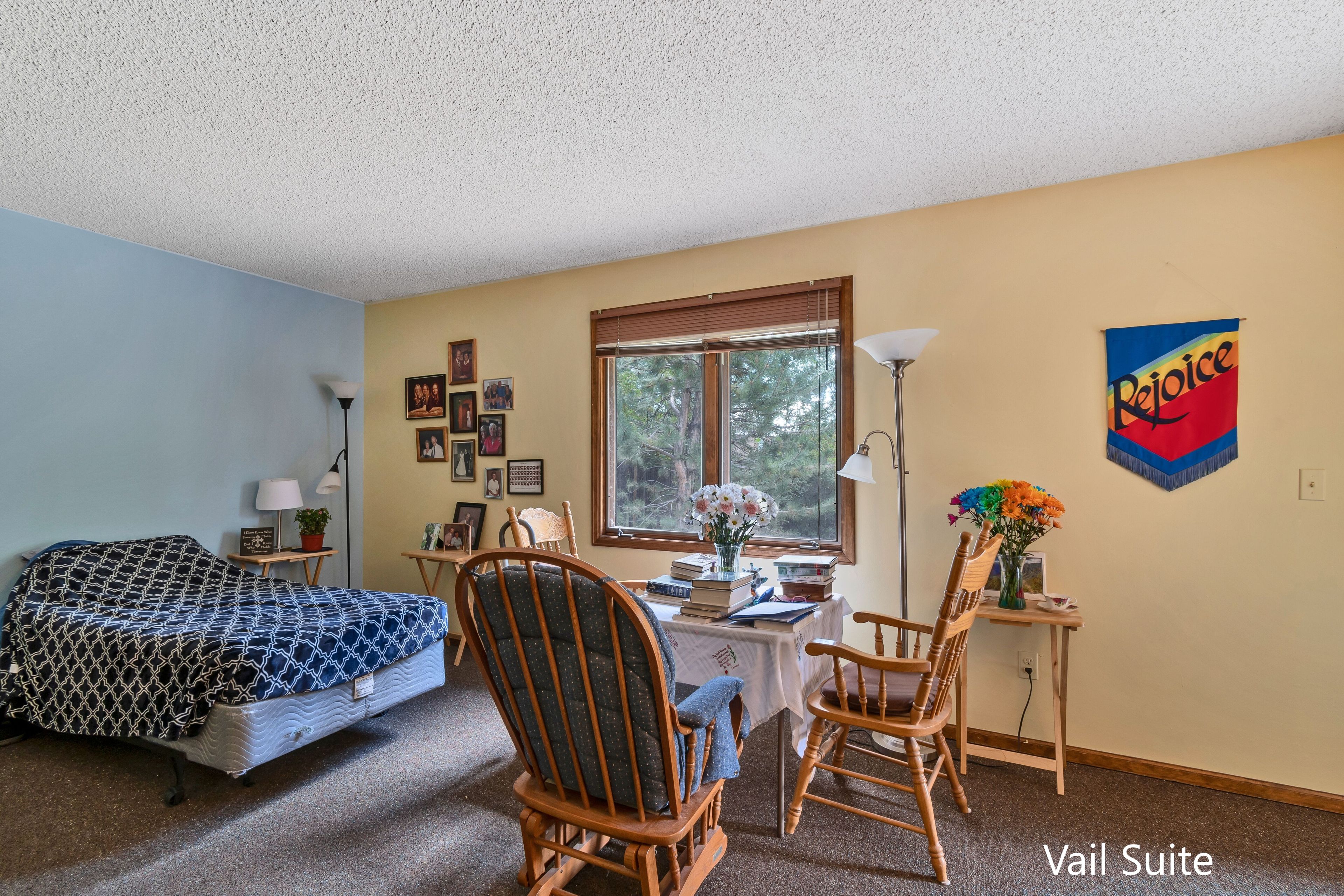 Aspen View Living 3