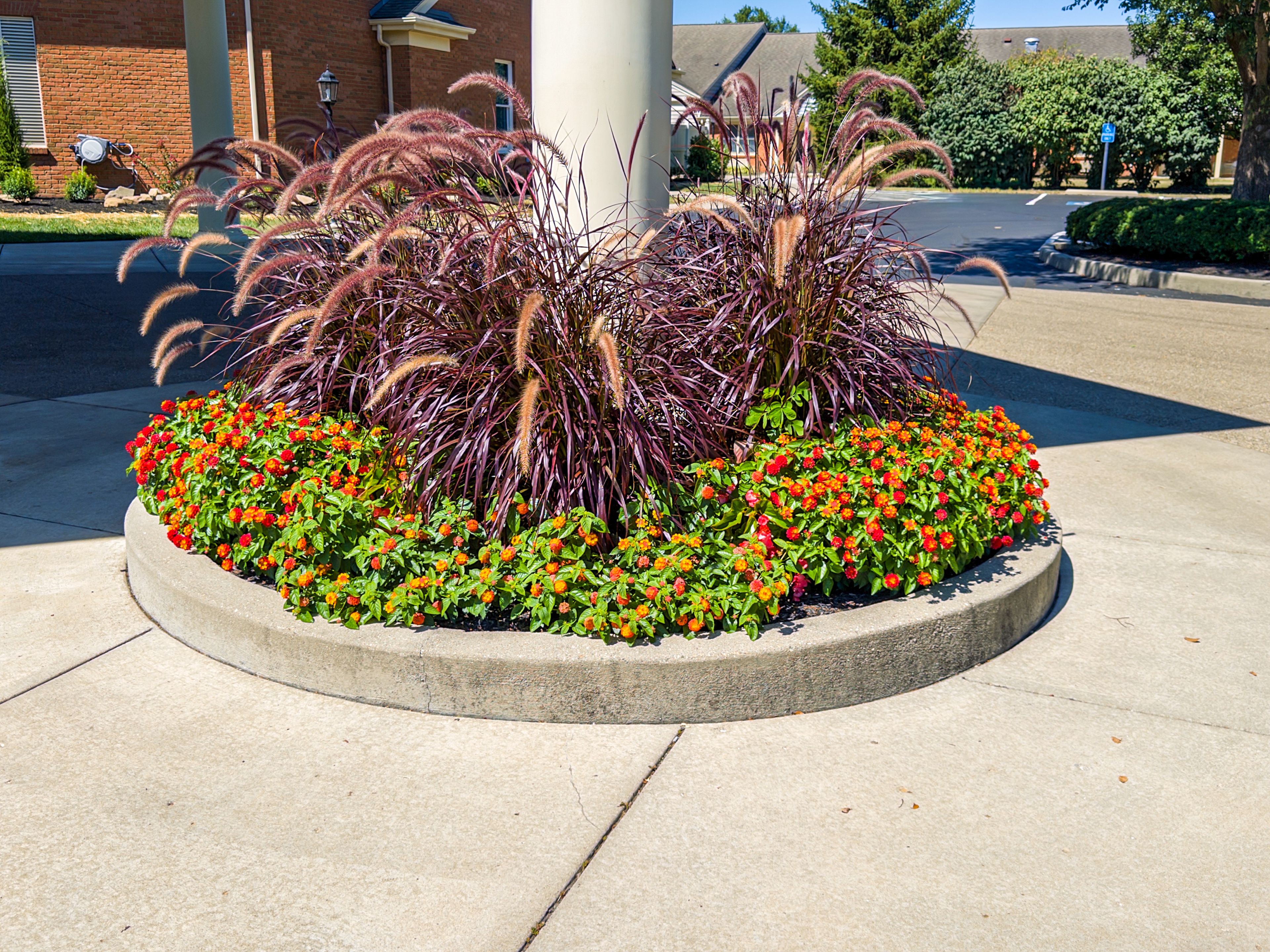 Berkeley Square Retirement Center 3