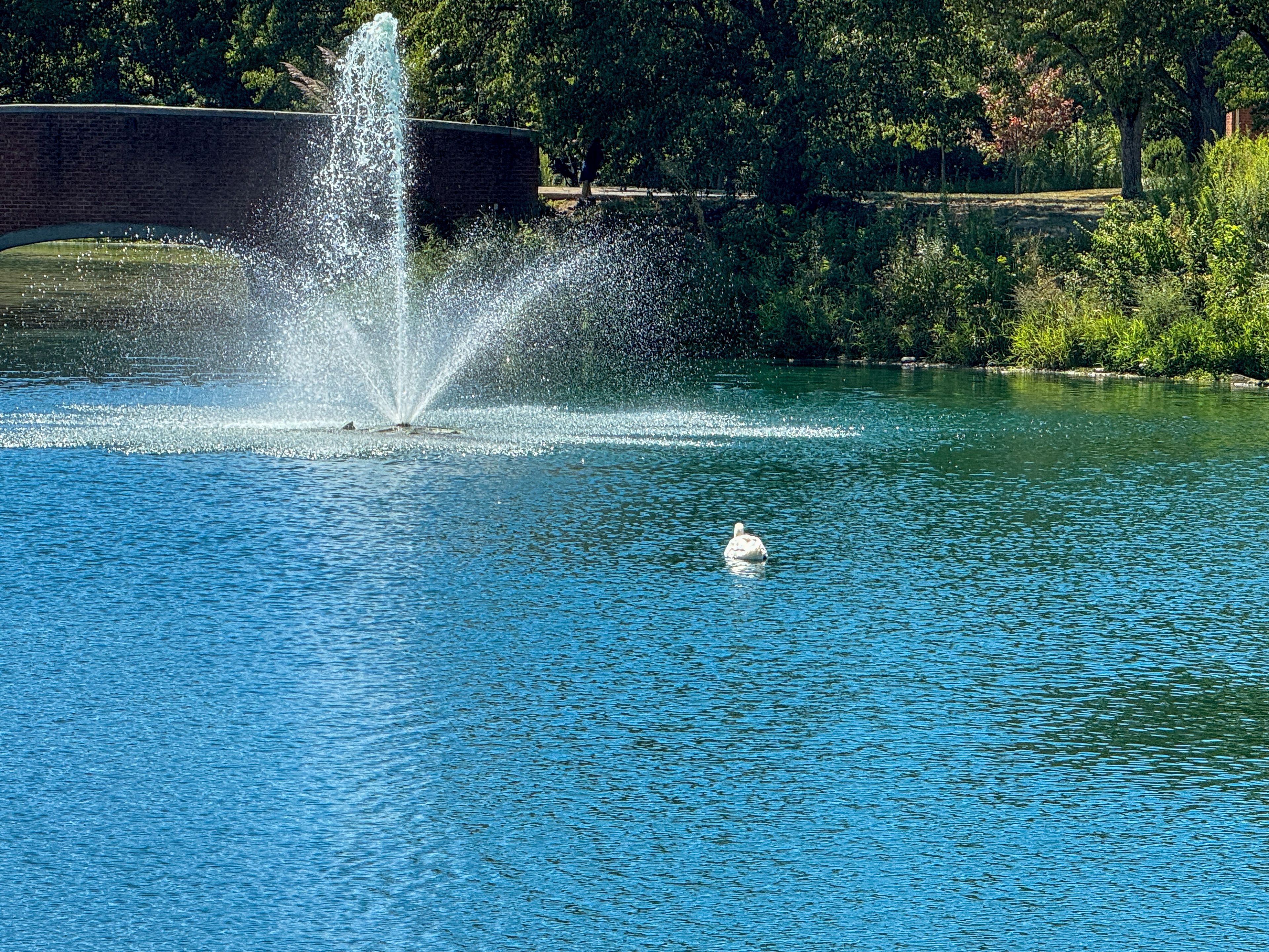 Berkeley Square Retirement Center 4