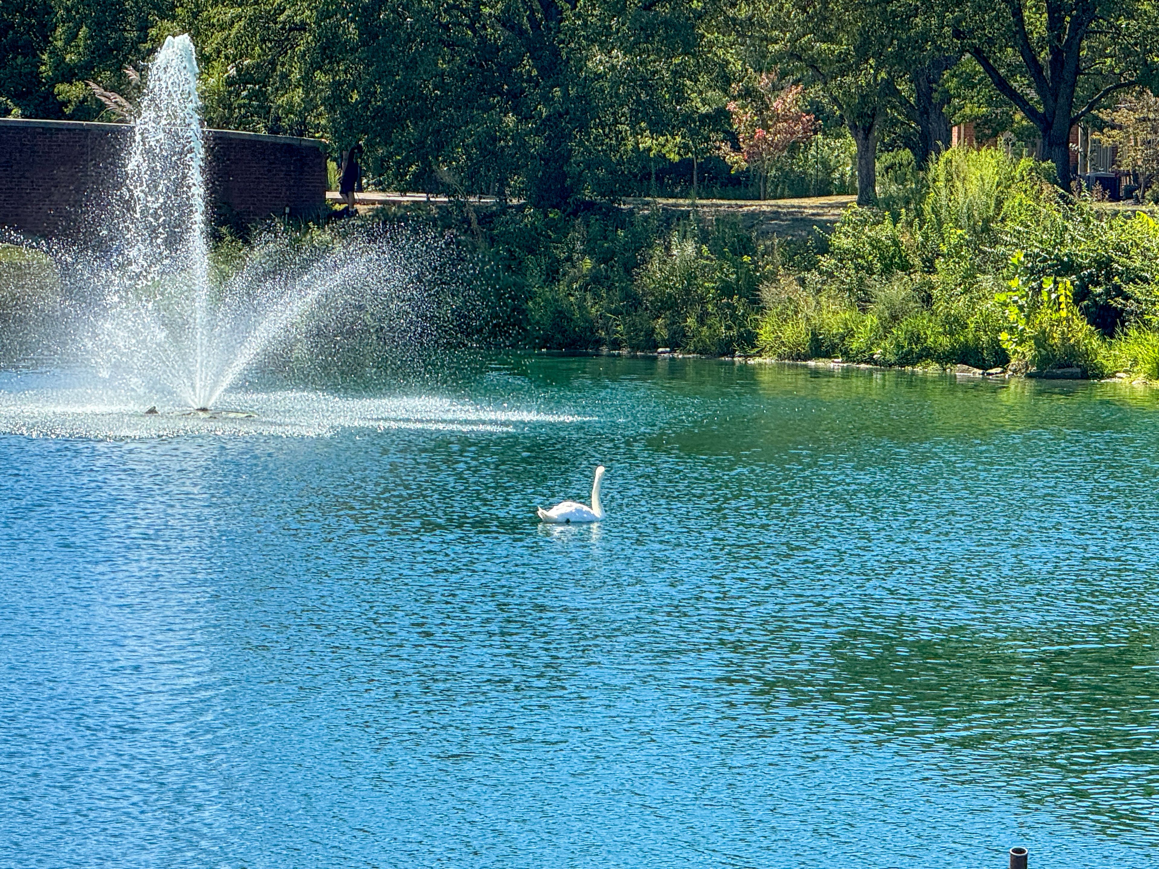 Berkeley Square Retirement Center 3