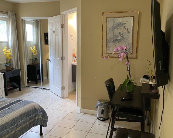 Comfort & Joy Living 4