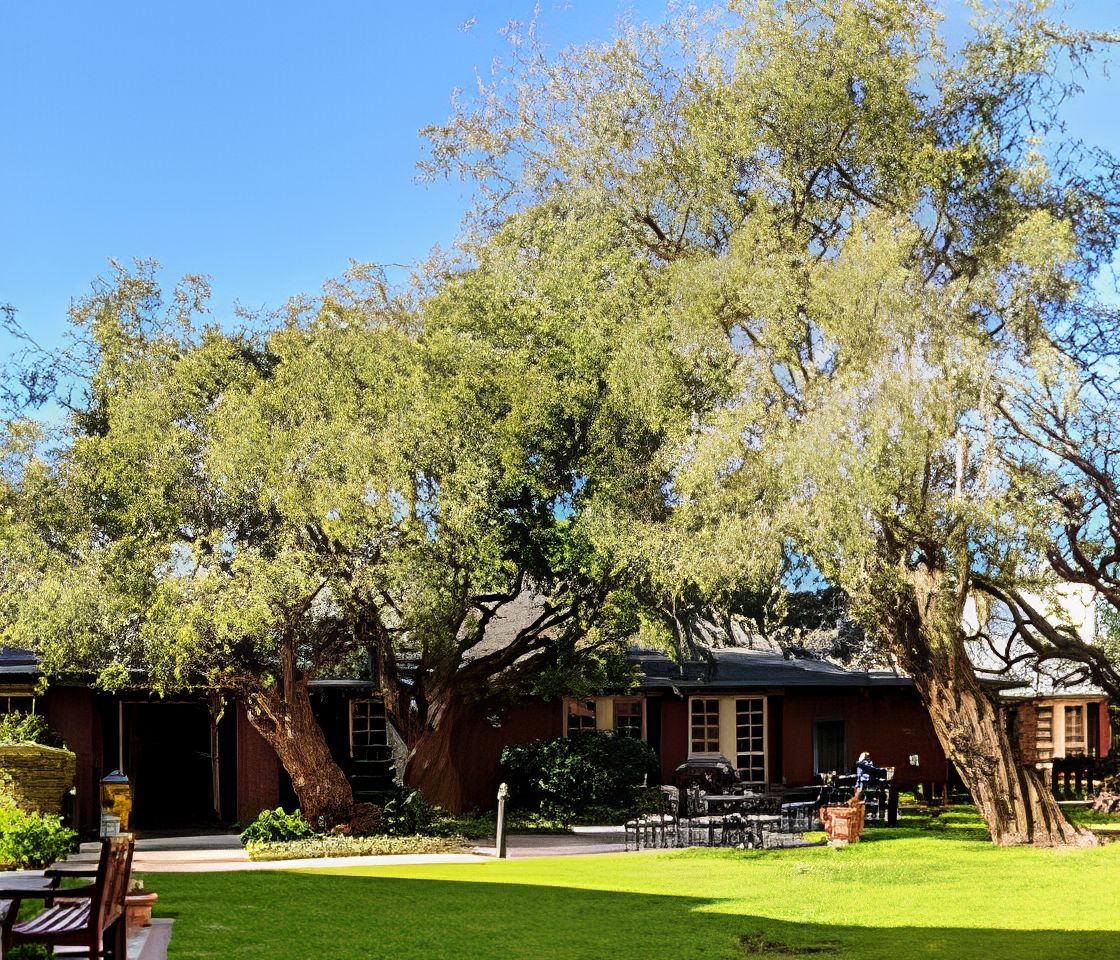 Carmel Village Retirement Community 4