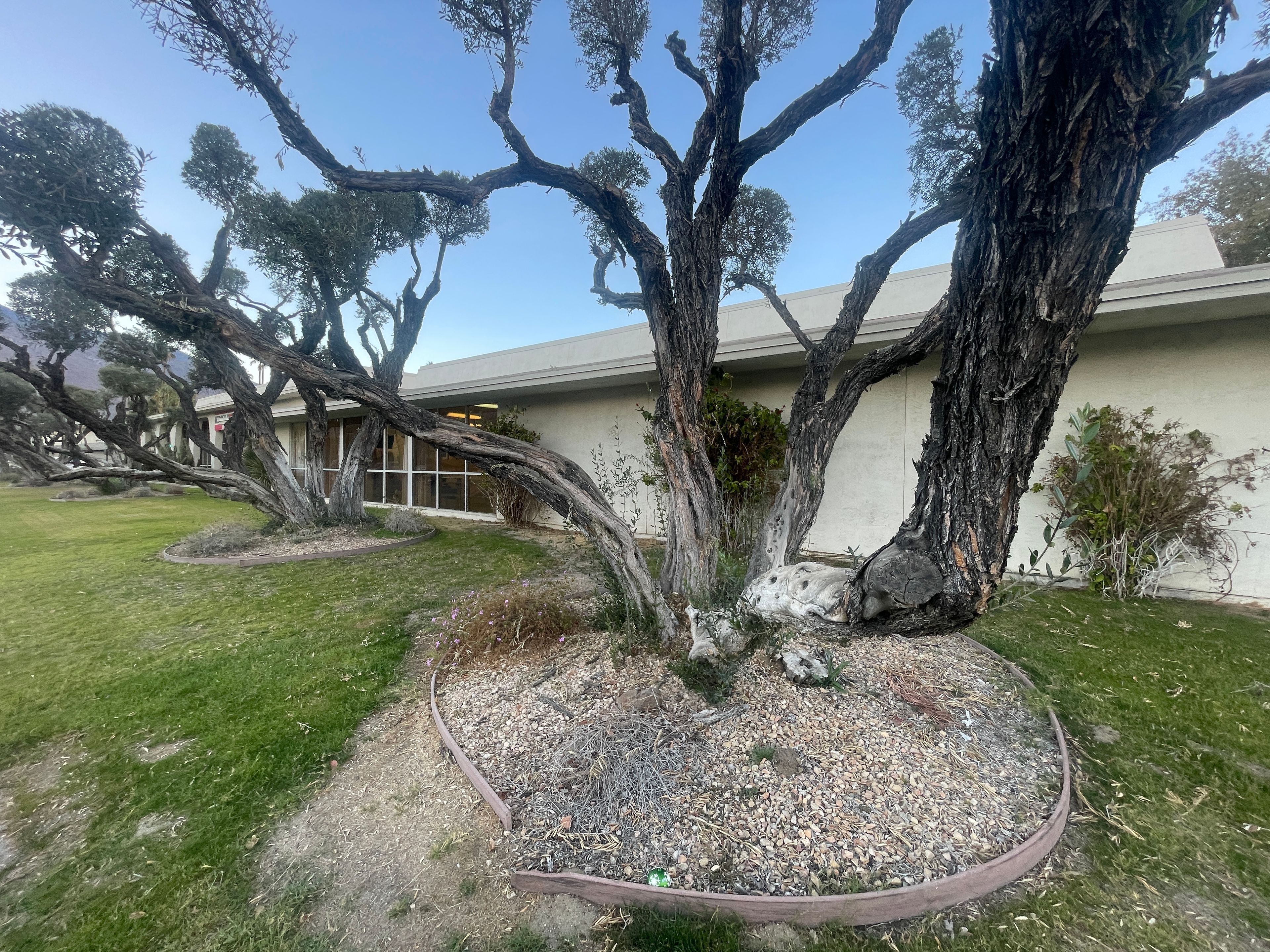 Premier Care Center For Palm Springs 1