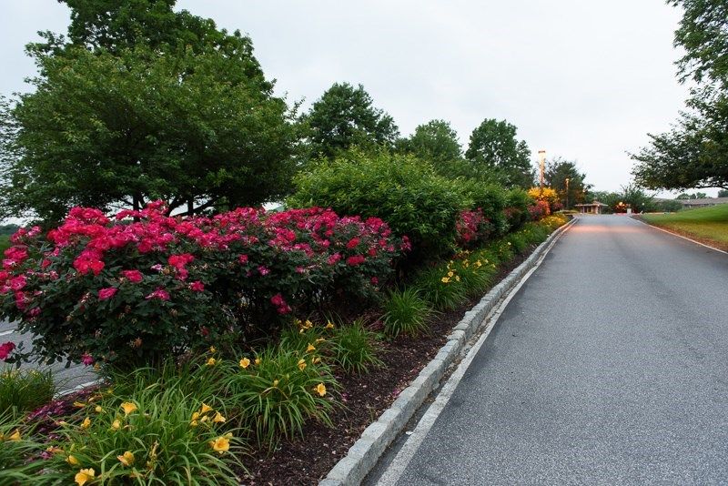Willowbrooke Court-Granite 2