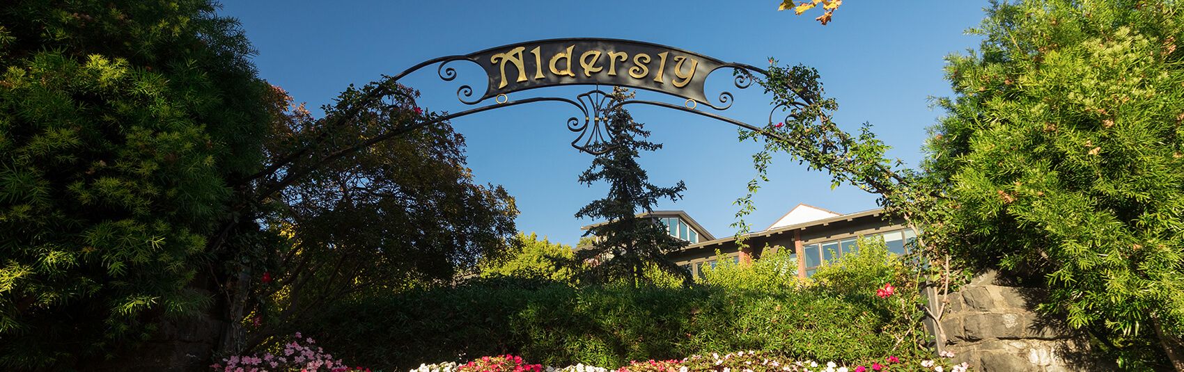 Aldersly 1
