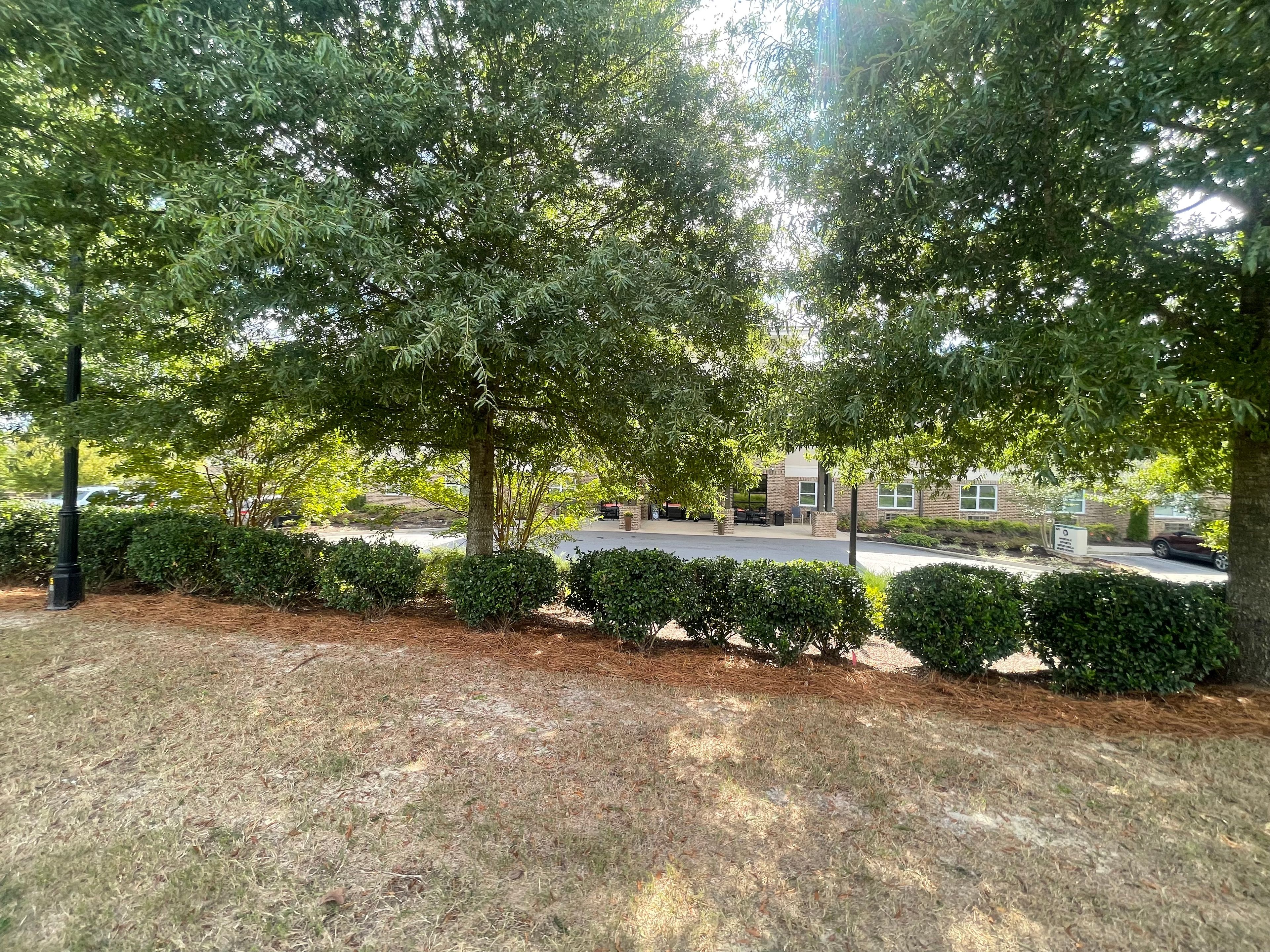 The Addison at Alpharetta 3