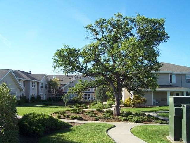 Marbella Oroville 1