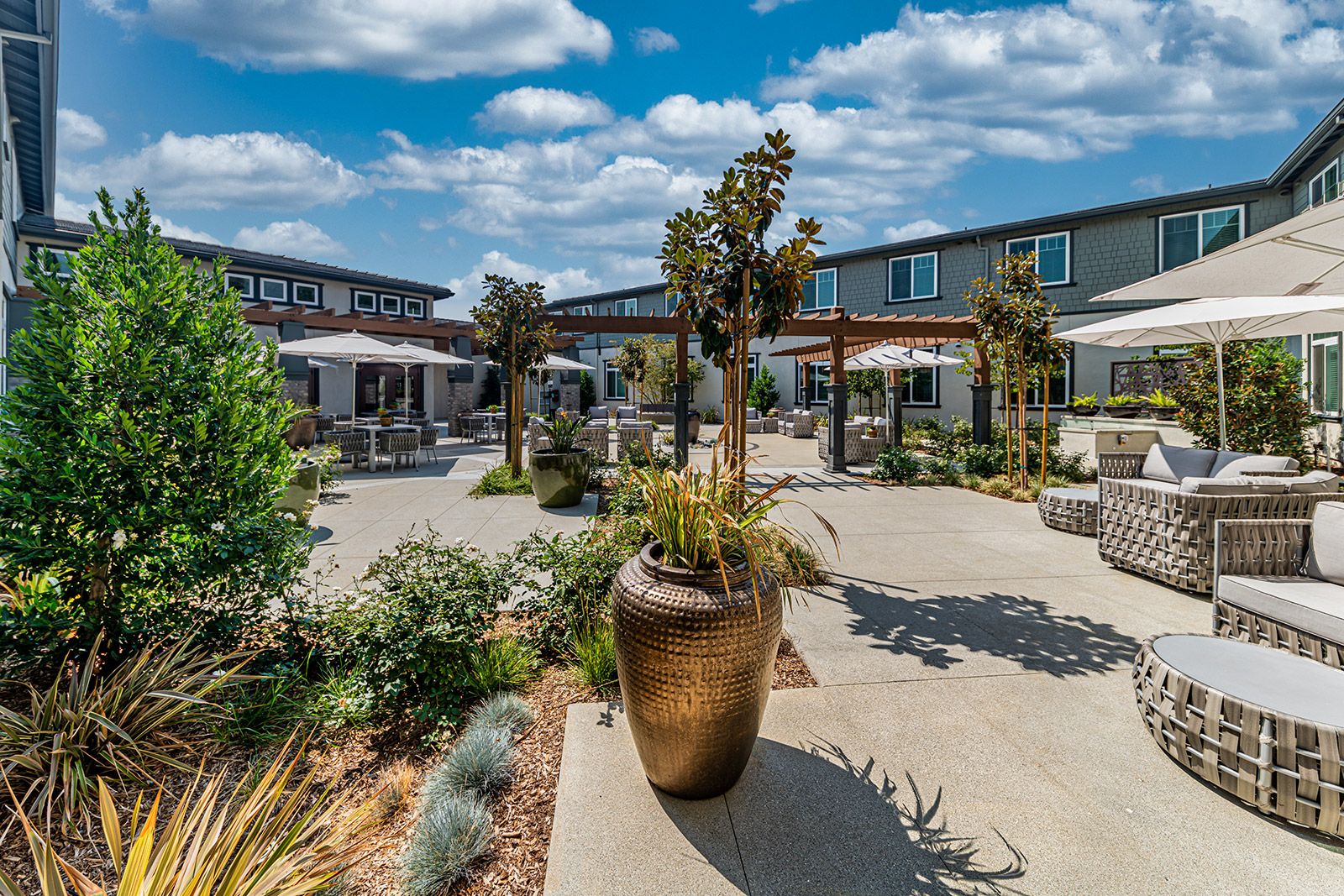 Allara Senior Living 3