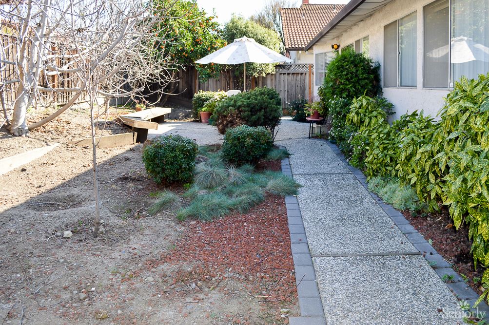 Rose Guest Home 3