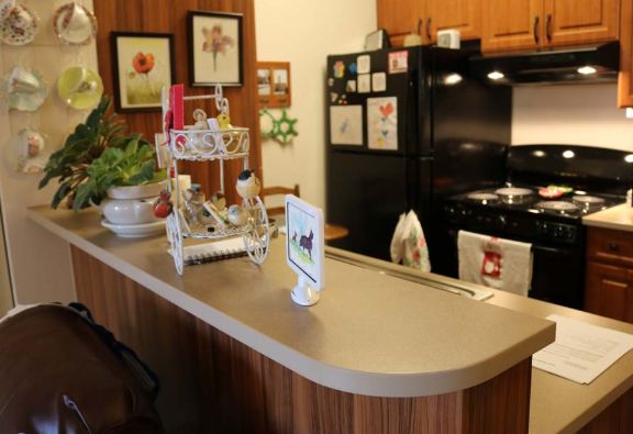 The Myron Stratton Home 2