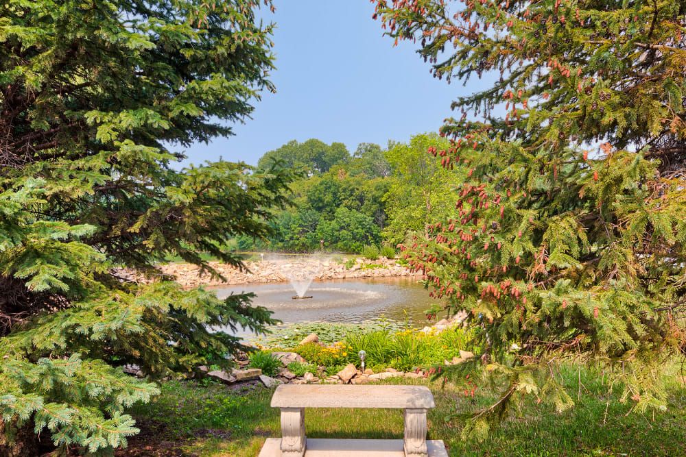 Water's Edge 3