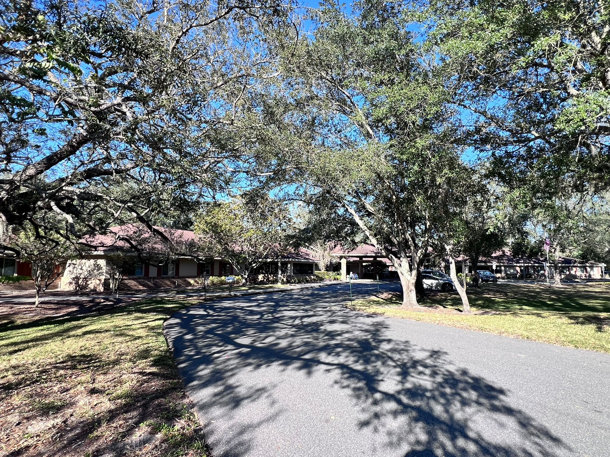 Elevated Estates Forest Oaks 4