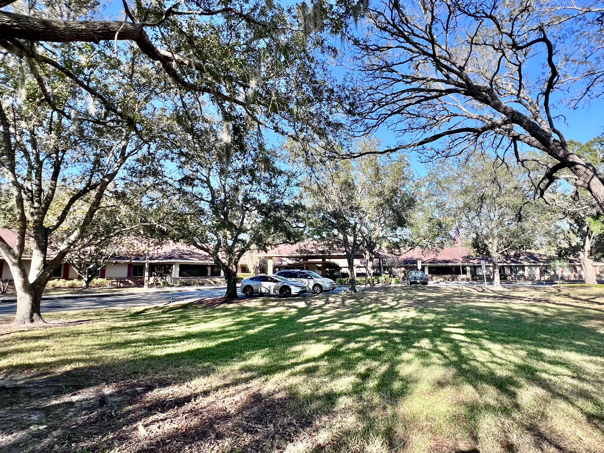 Elevated Estates Forest Oaks 4