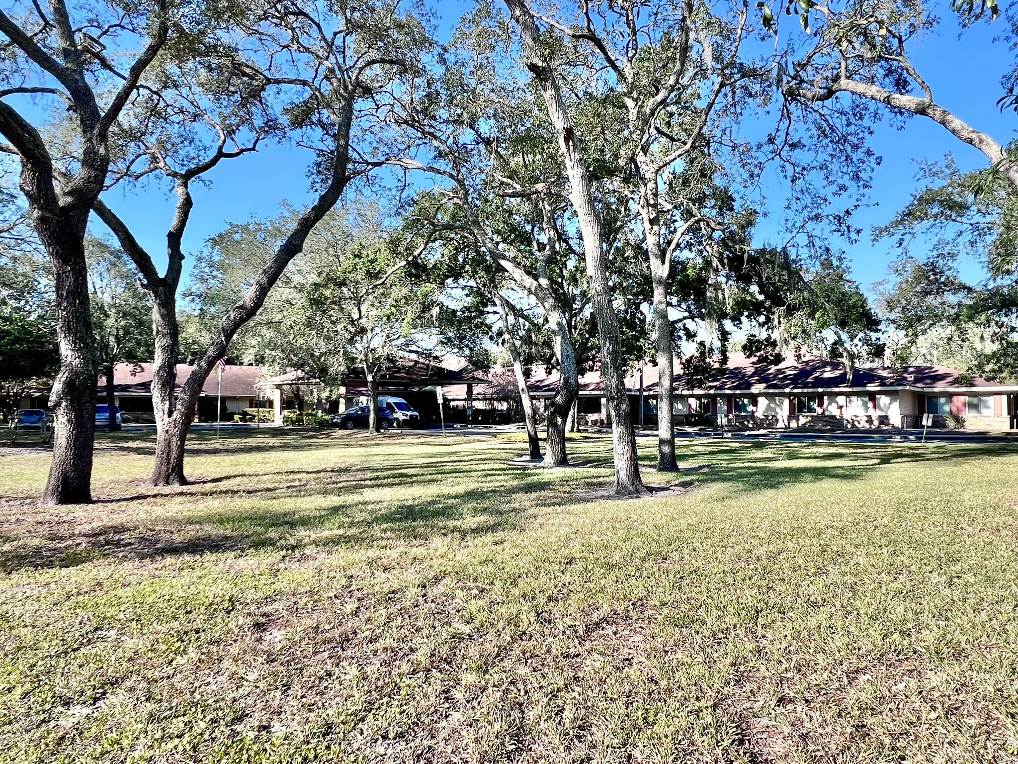 Elevated Estates Forest Oaks 4