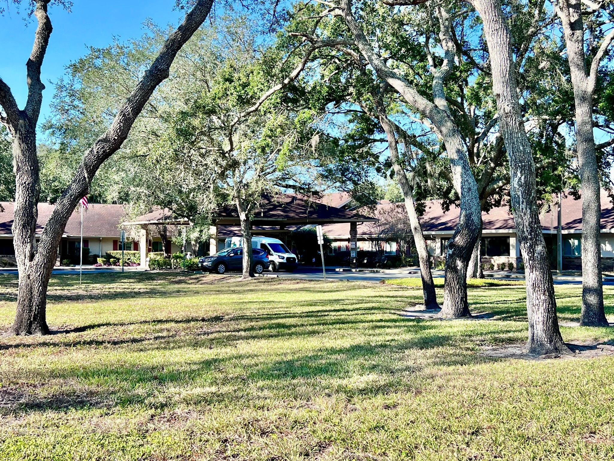 Elevated Estates Forest Oaks 4