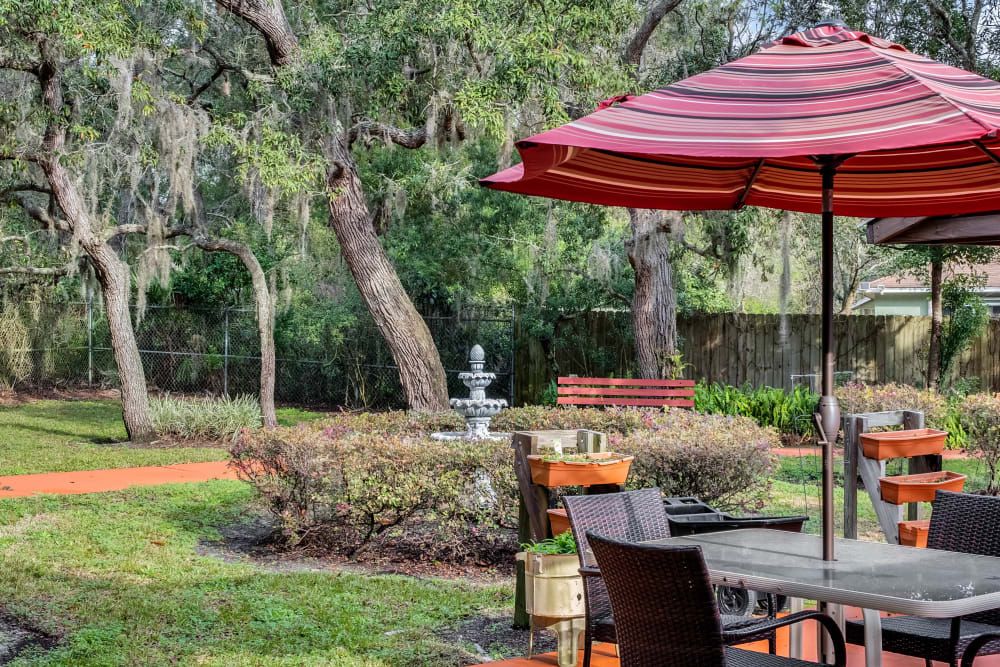 Forest Oaks Of Spring Hill 4