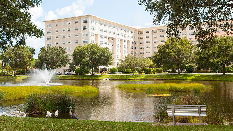 Jacaranda Trace 1