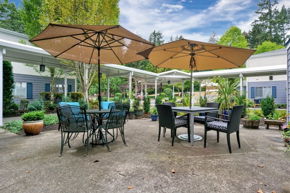 Mountlake Terrace Plaza 1