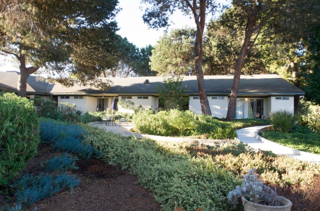 Redwood Terrace 1
