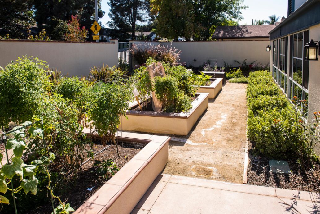 Redwood Terrace 4