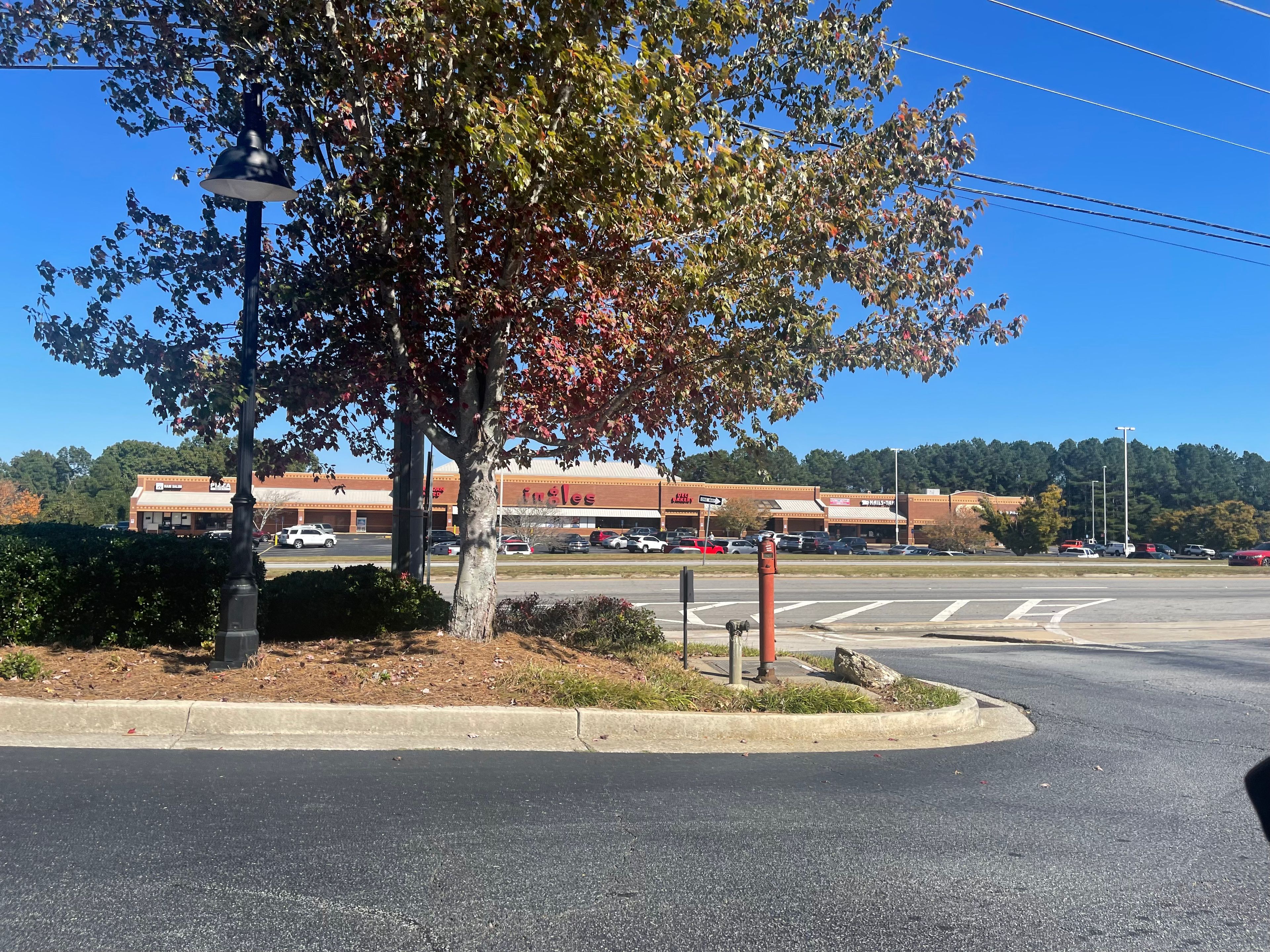 Gardens of Gainesville 4