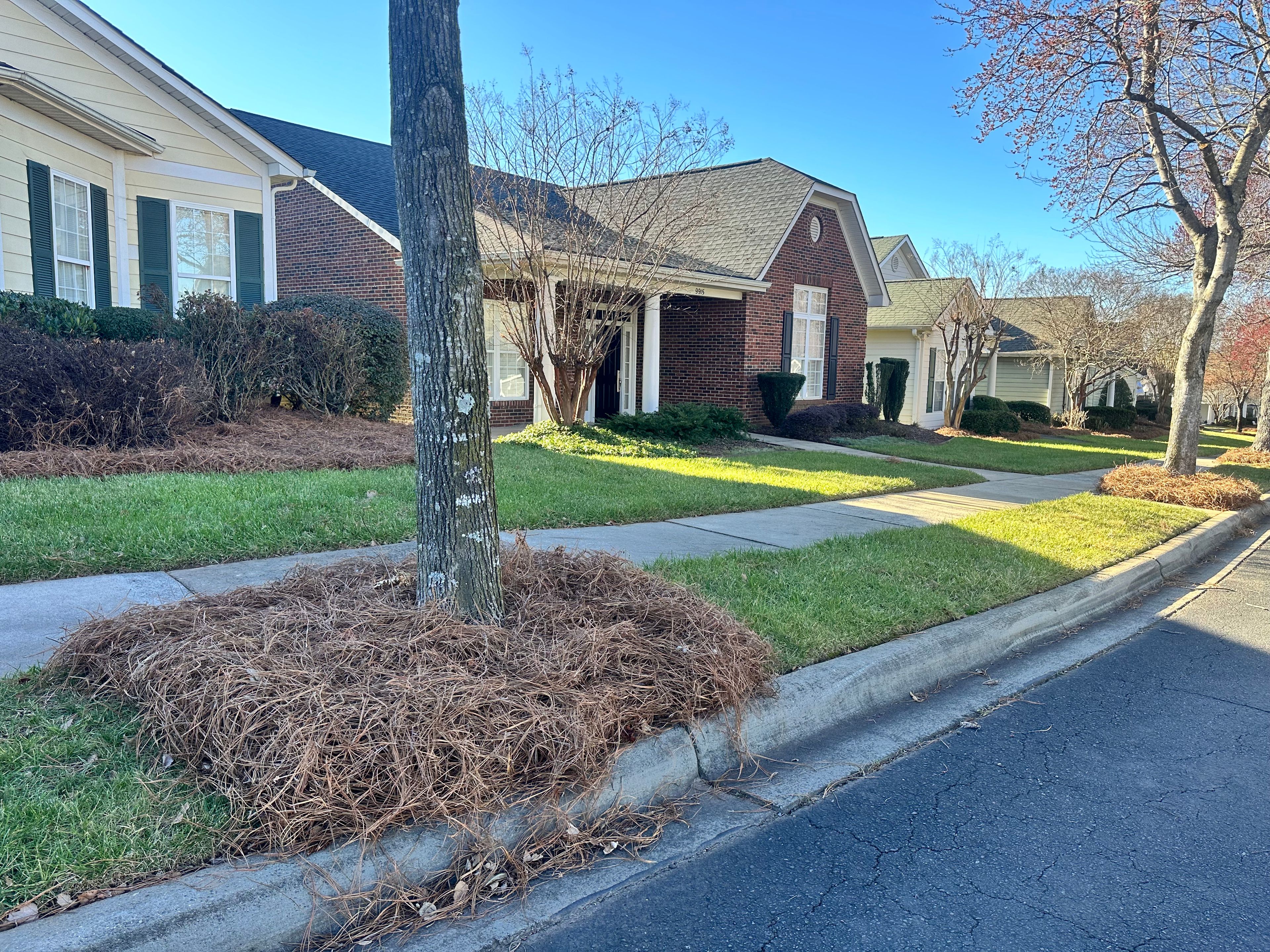 The Cottages at The Village of Carolina Place 3