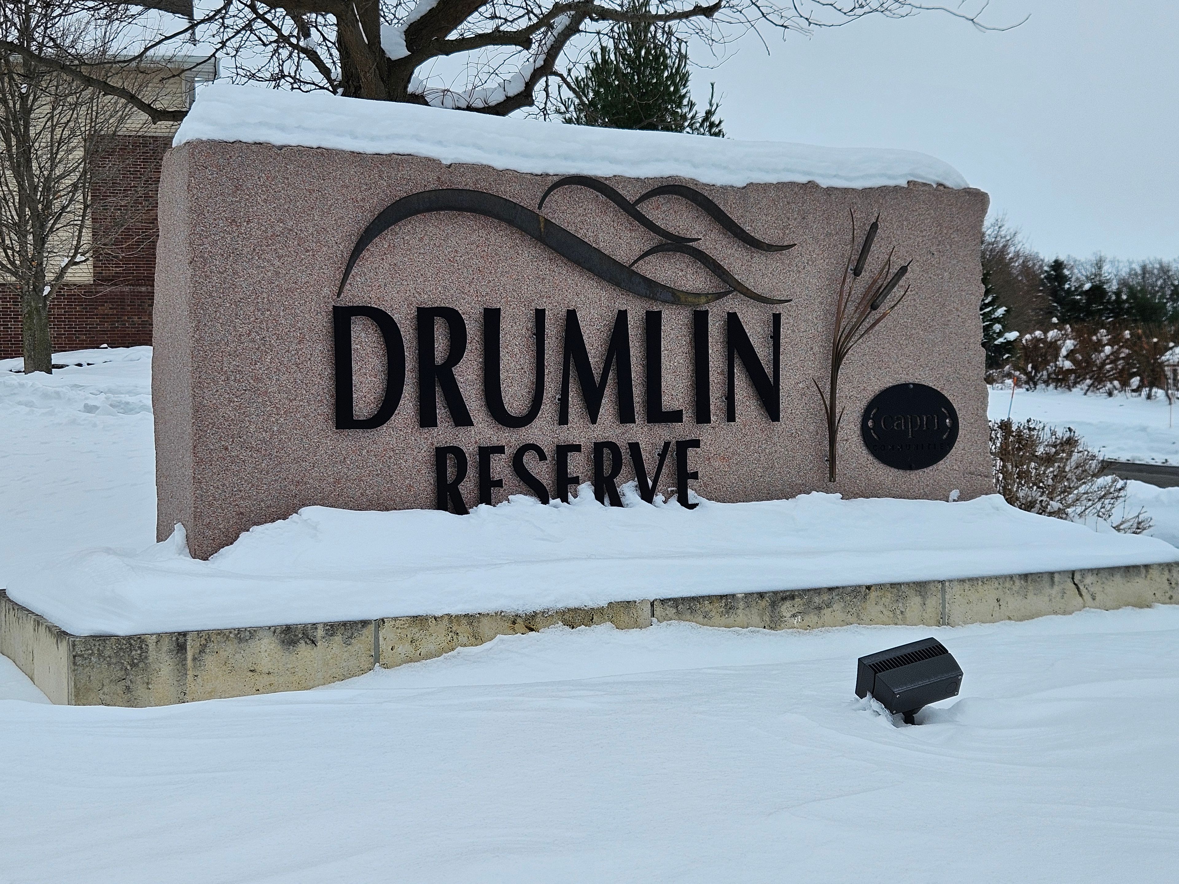 Drumlin Reserve 4