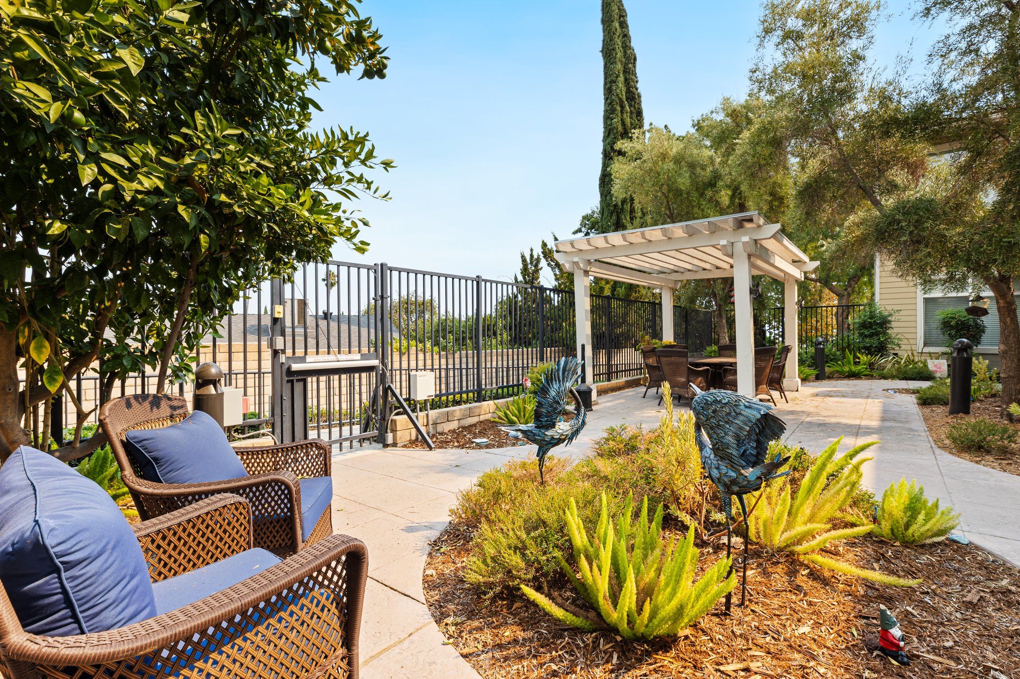 Ivy Park At Alta Loma 4