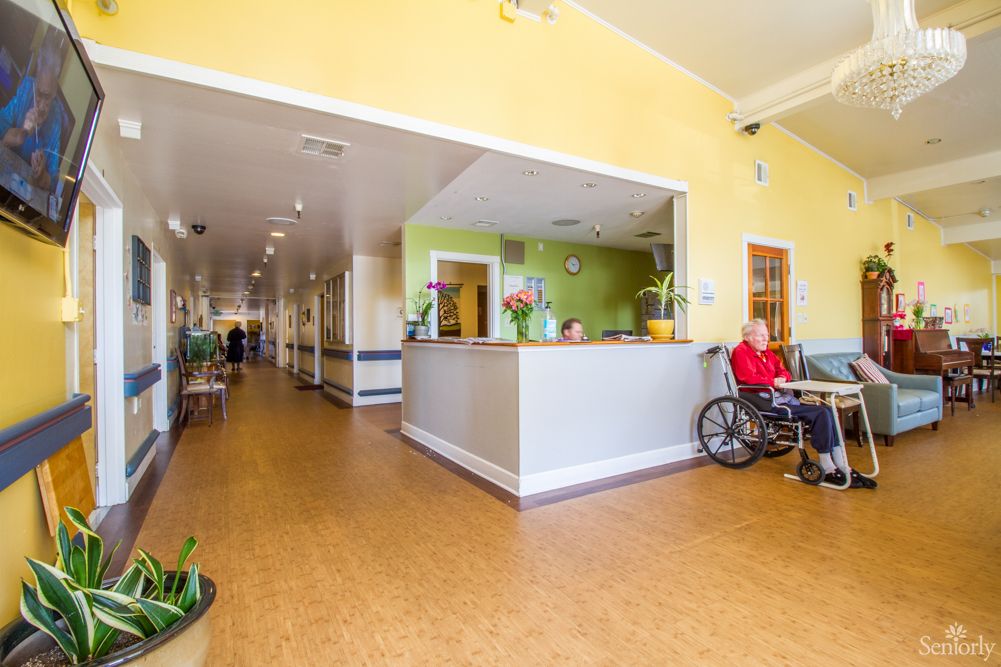 Dimond Care 2