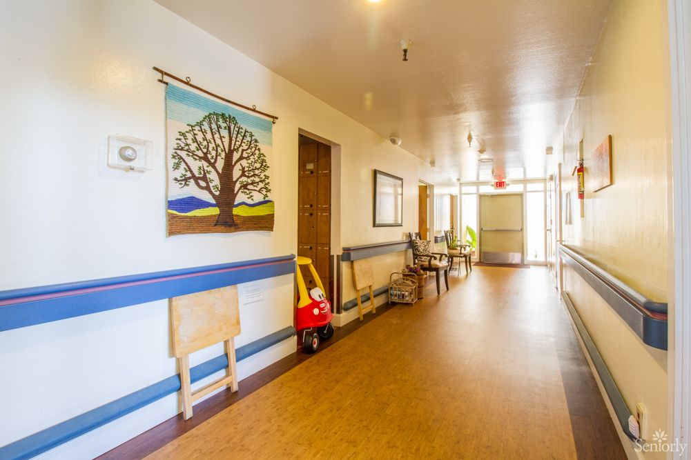 Dimond Care 2