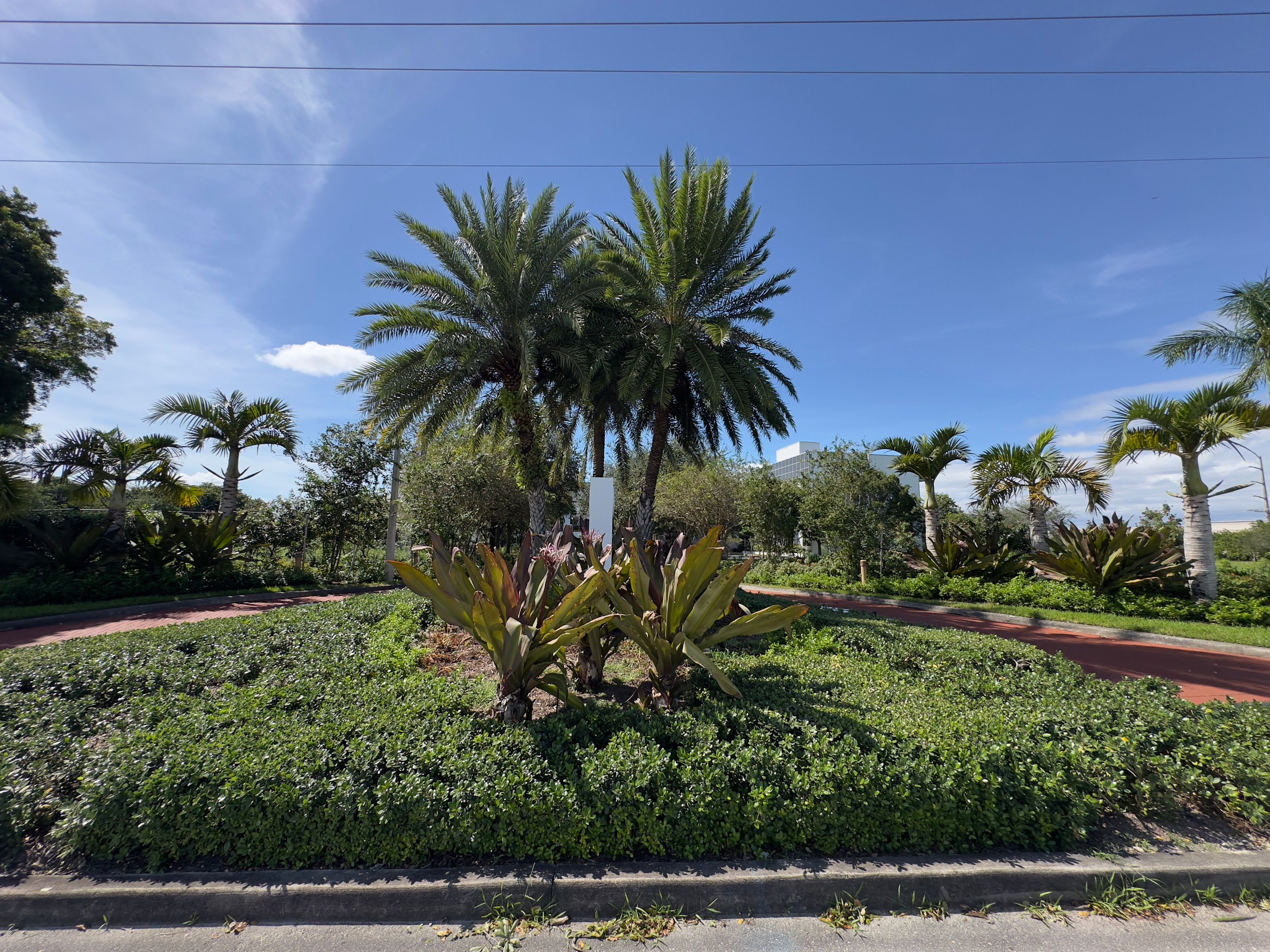 Avalina Senior Living 3