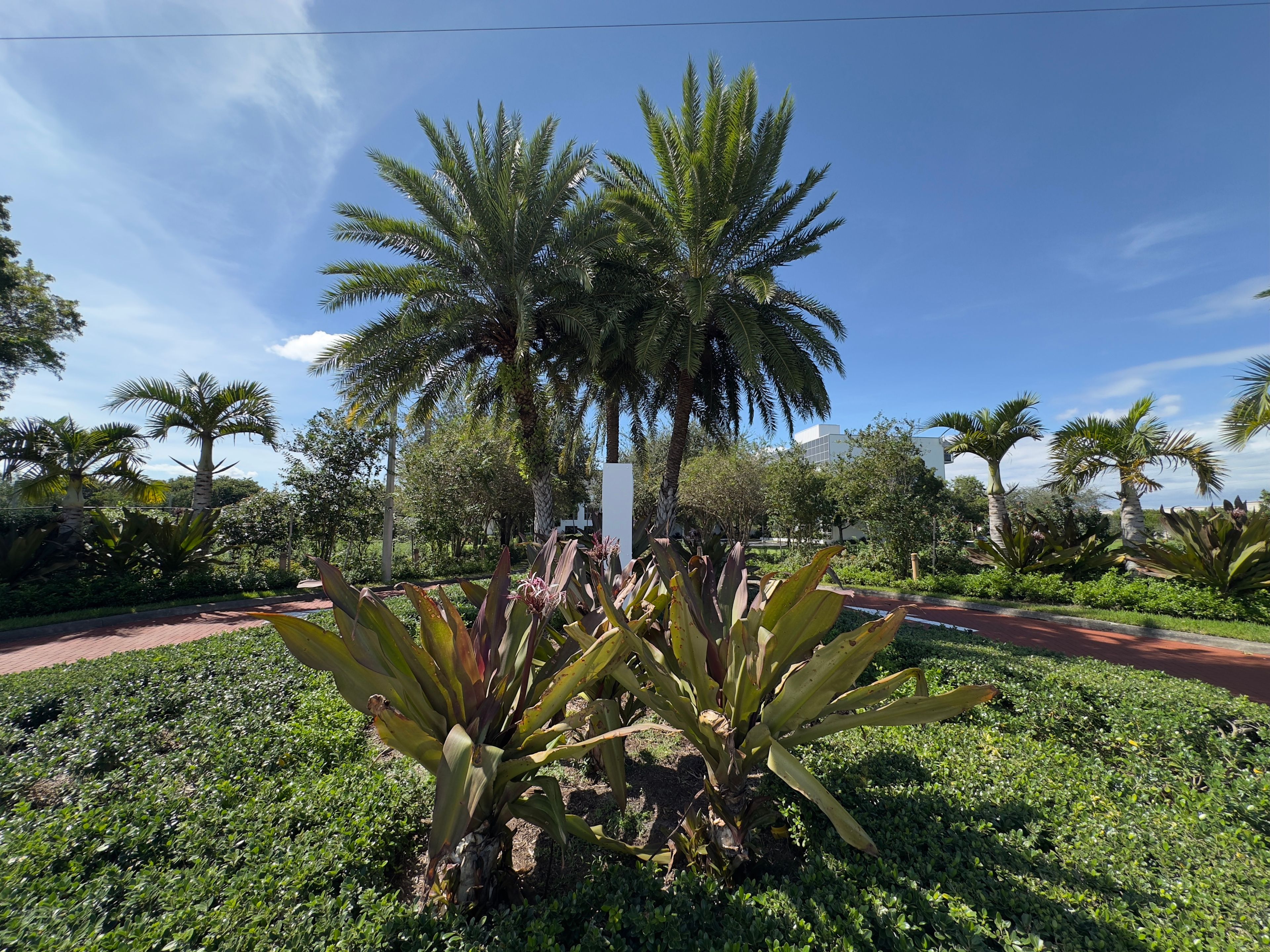 Avalina Senior Living 4