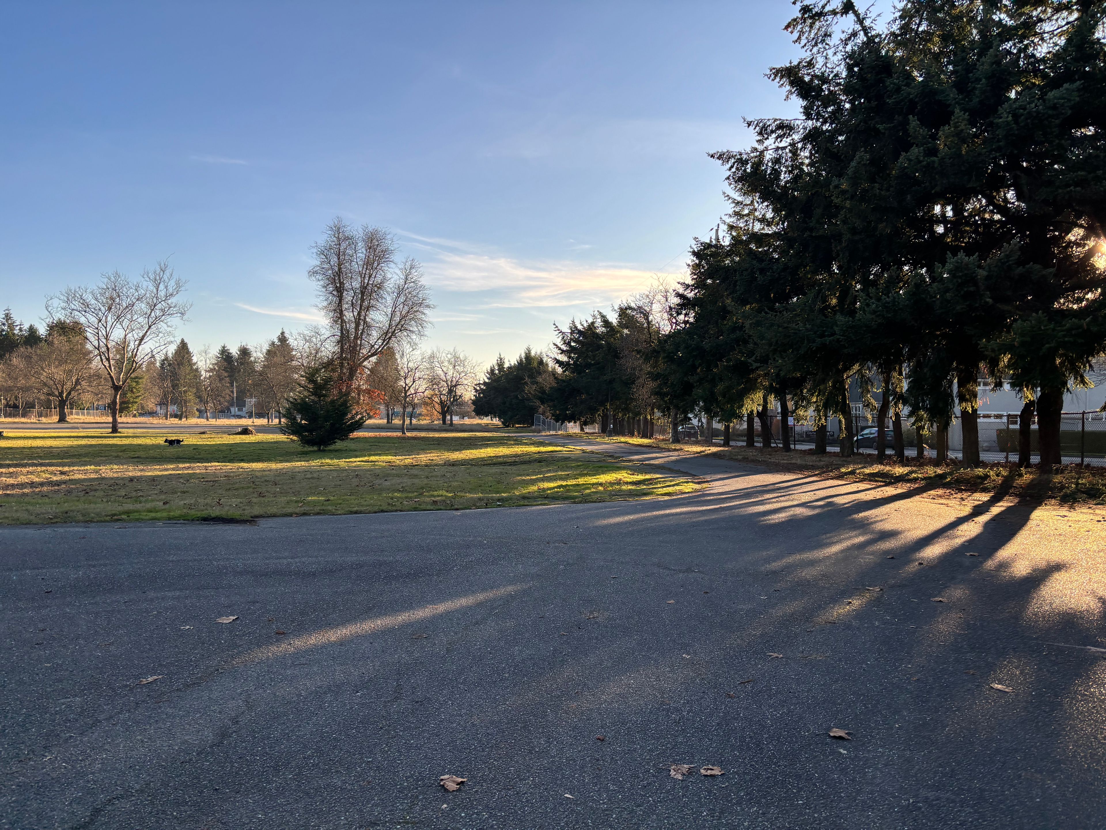 Fircrest School 3
