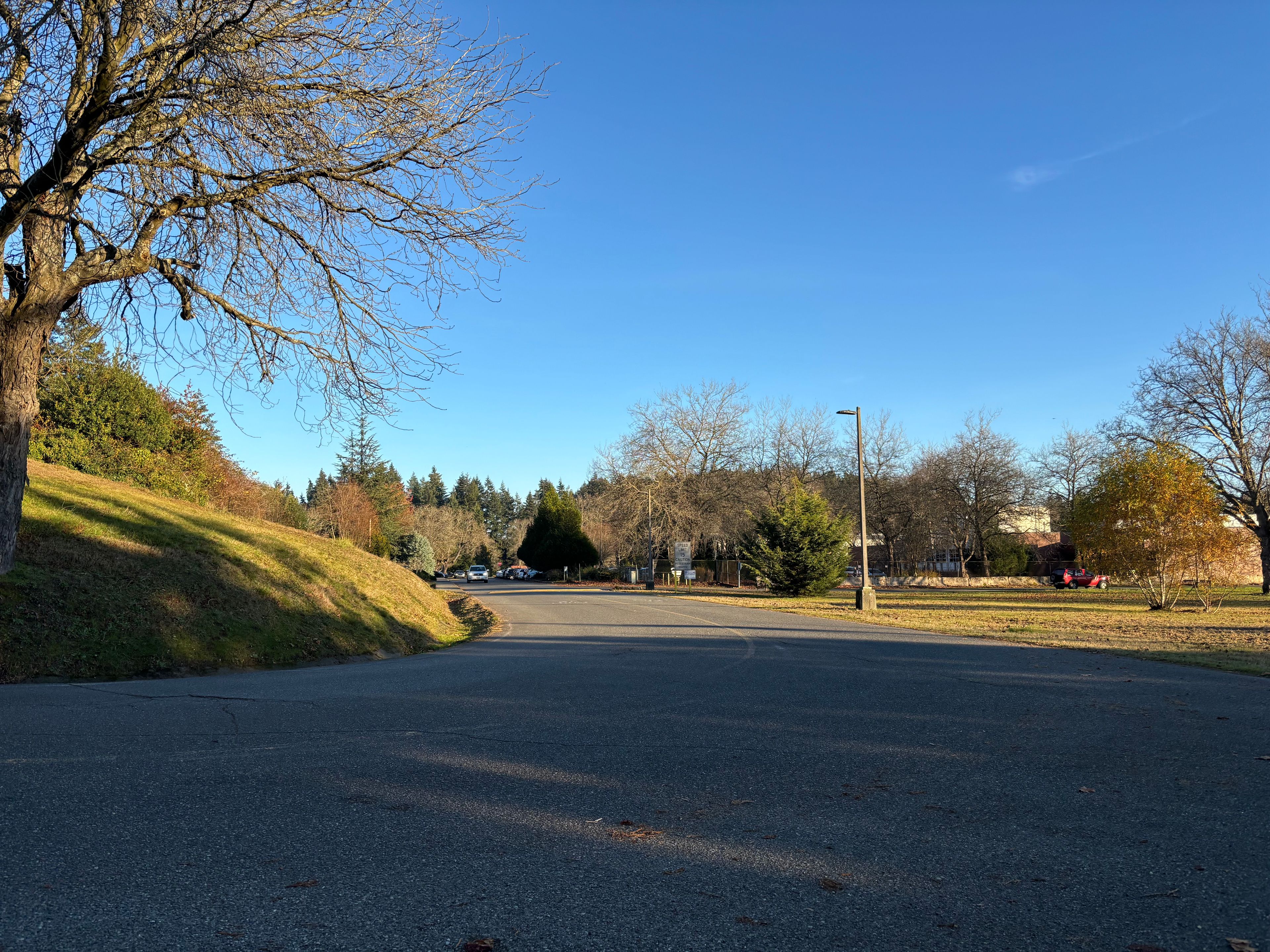 Fircrest School 3