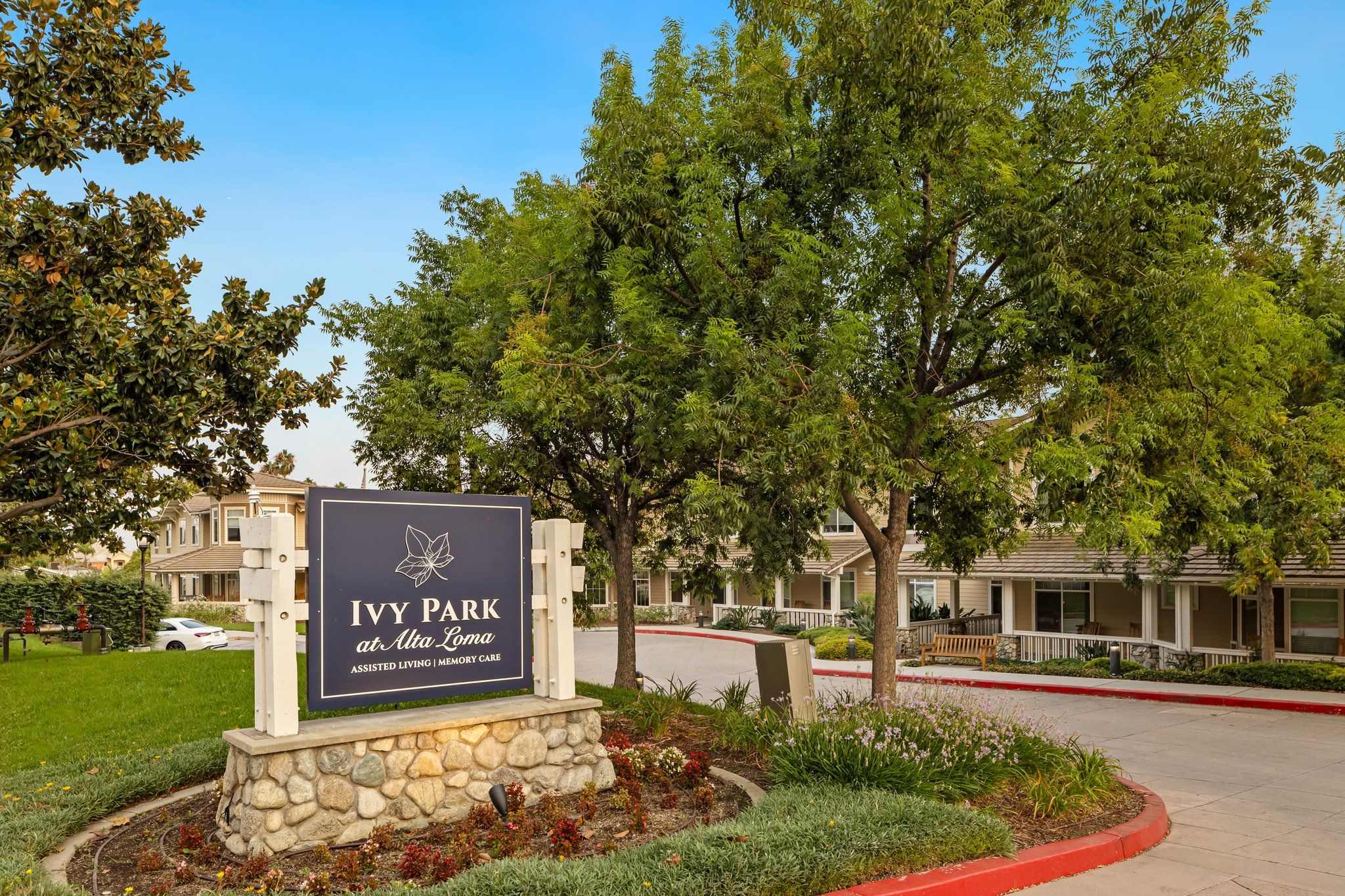Ivy Park At Alta Loma 1