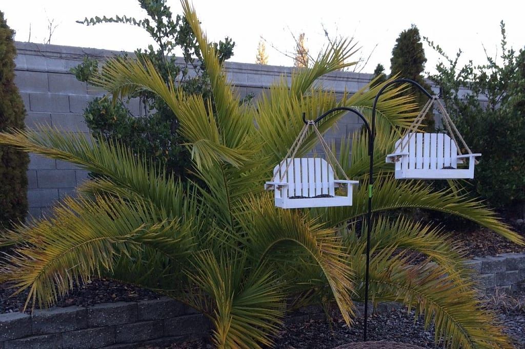 Oasis For Seniors At Heaven's Garden 2