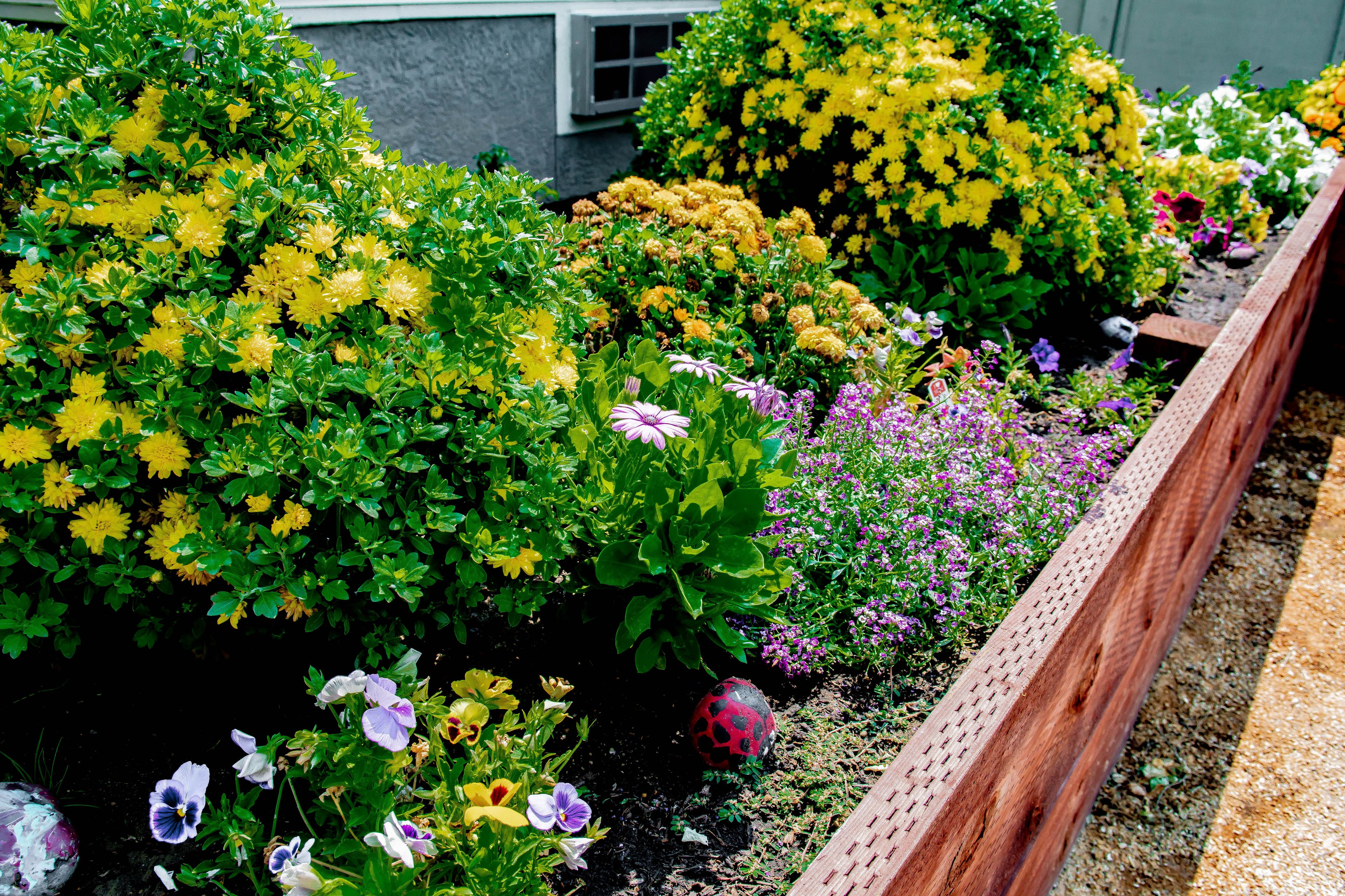 Vacaville Memory Care 1