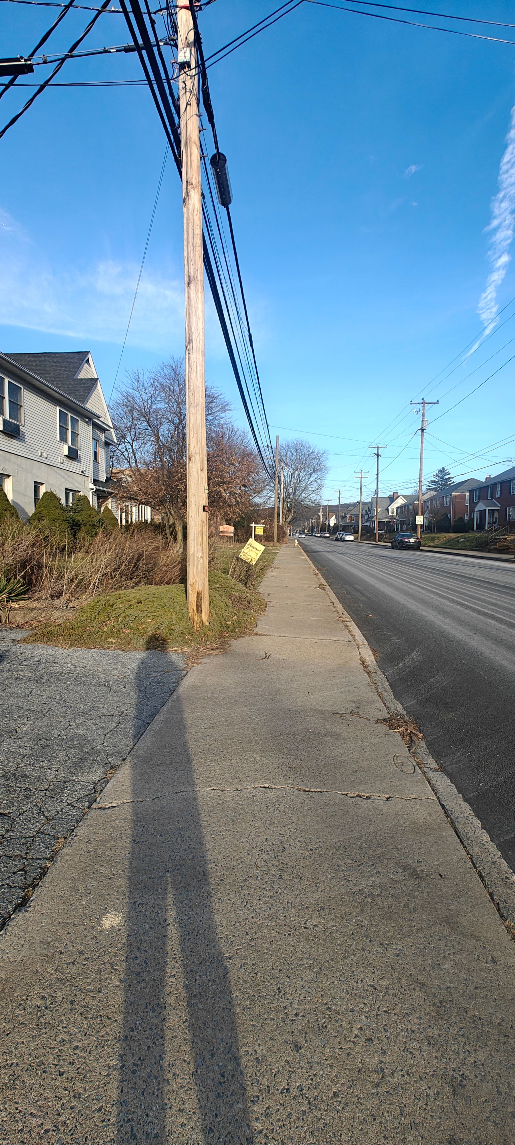 Renaissance Home Forks 3