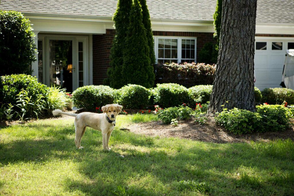 Cypress Glen Retirement Community 2