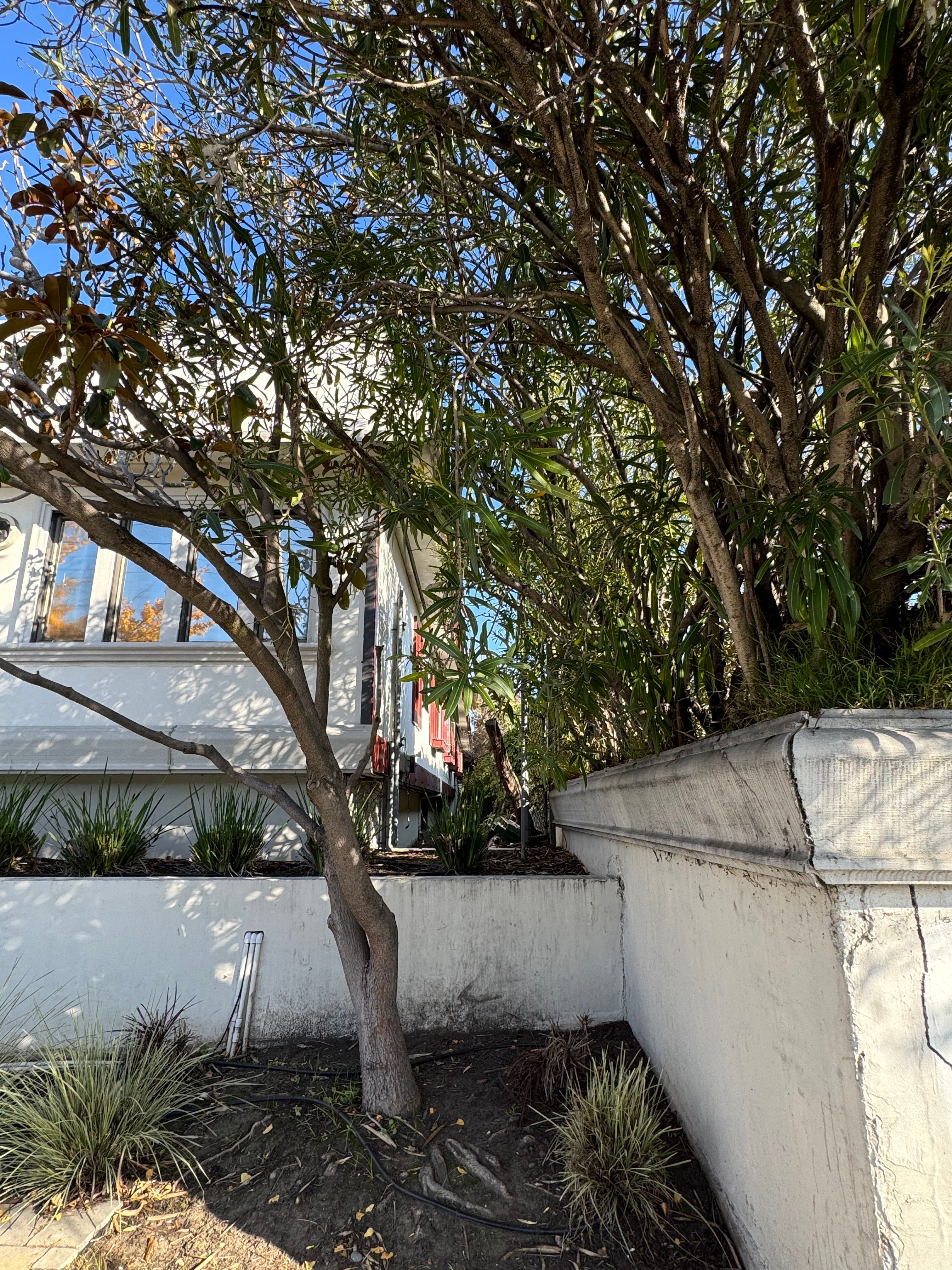 Elmwood Care Center 4