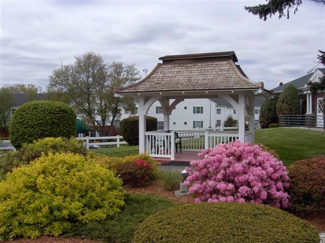 Manchester Manor 4