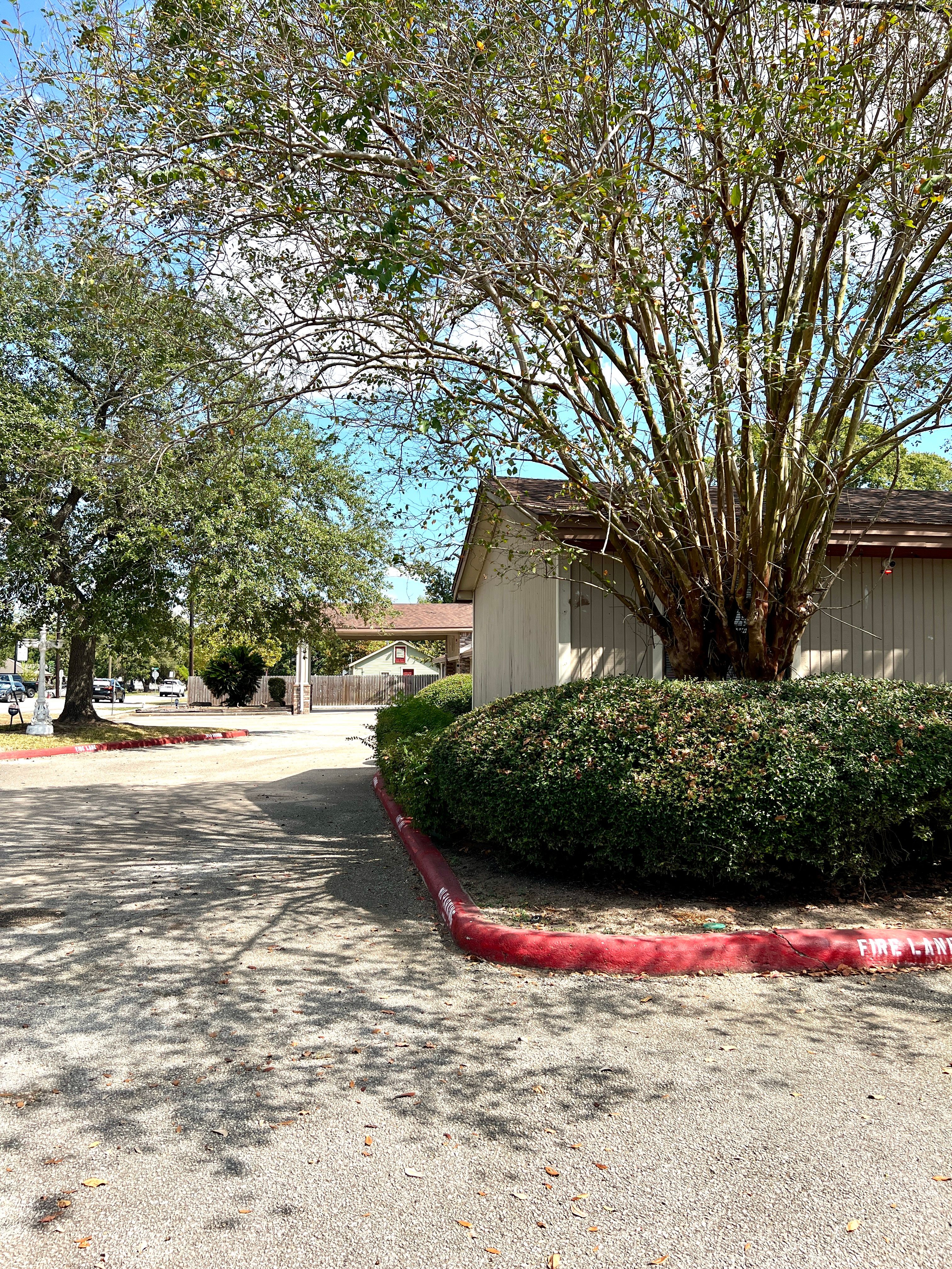 Pine Tree Assisted Living 3