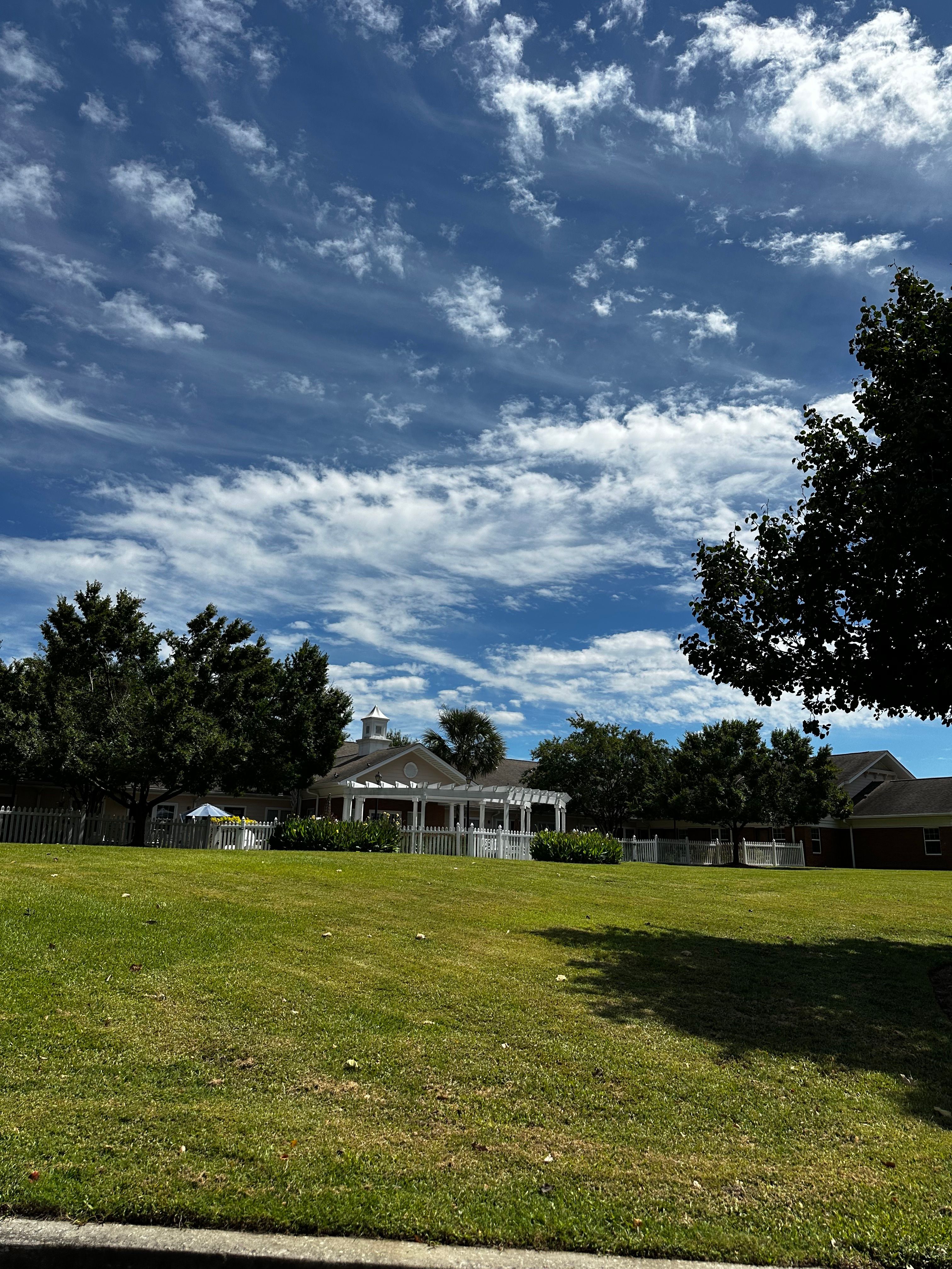 Palmettos Of Parklane 2